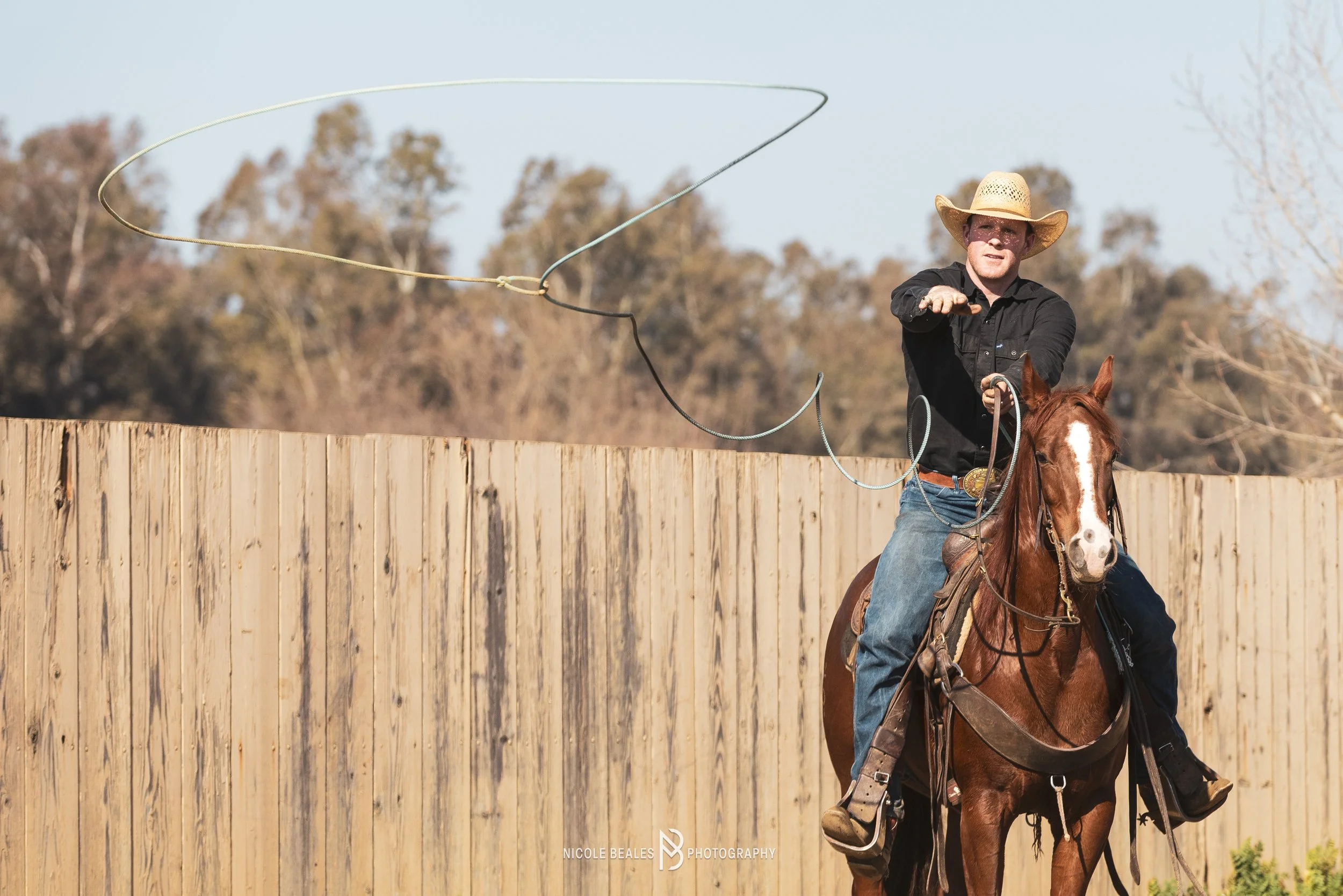 A cowboy wearing a straw hat and black shirt riding a brown horse, twirling a lasso in an outdoor arena with a wooden fence and trees in the background.
