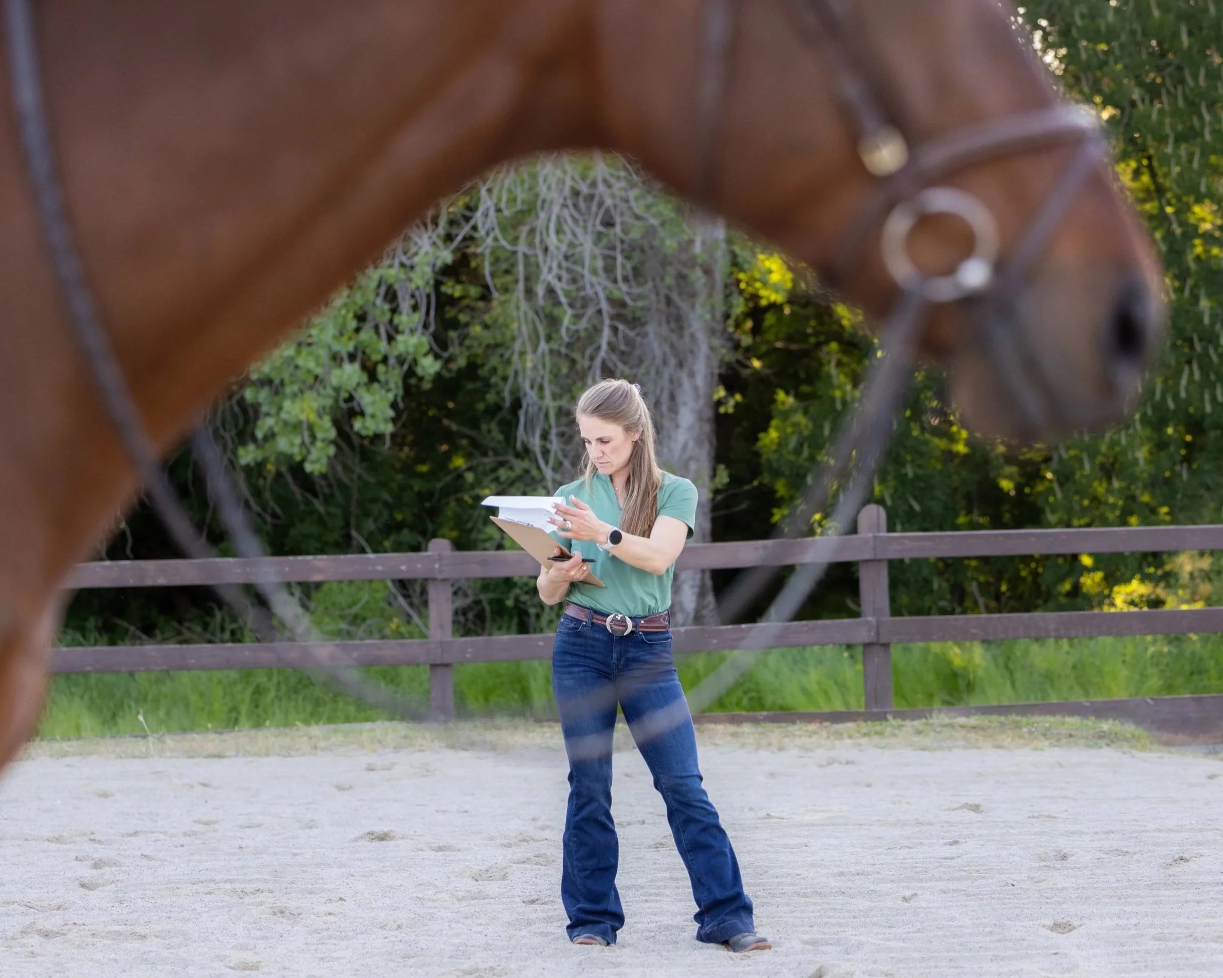 A woman standing in a sandy outdoor arena, viewed through the mouth of a brown horse with a leather bridle, holding a clipboard and reading it, with a background of green trees and a wooden fence.