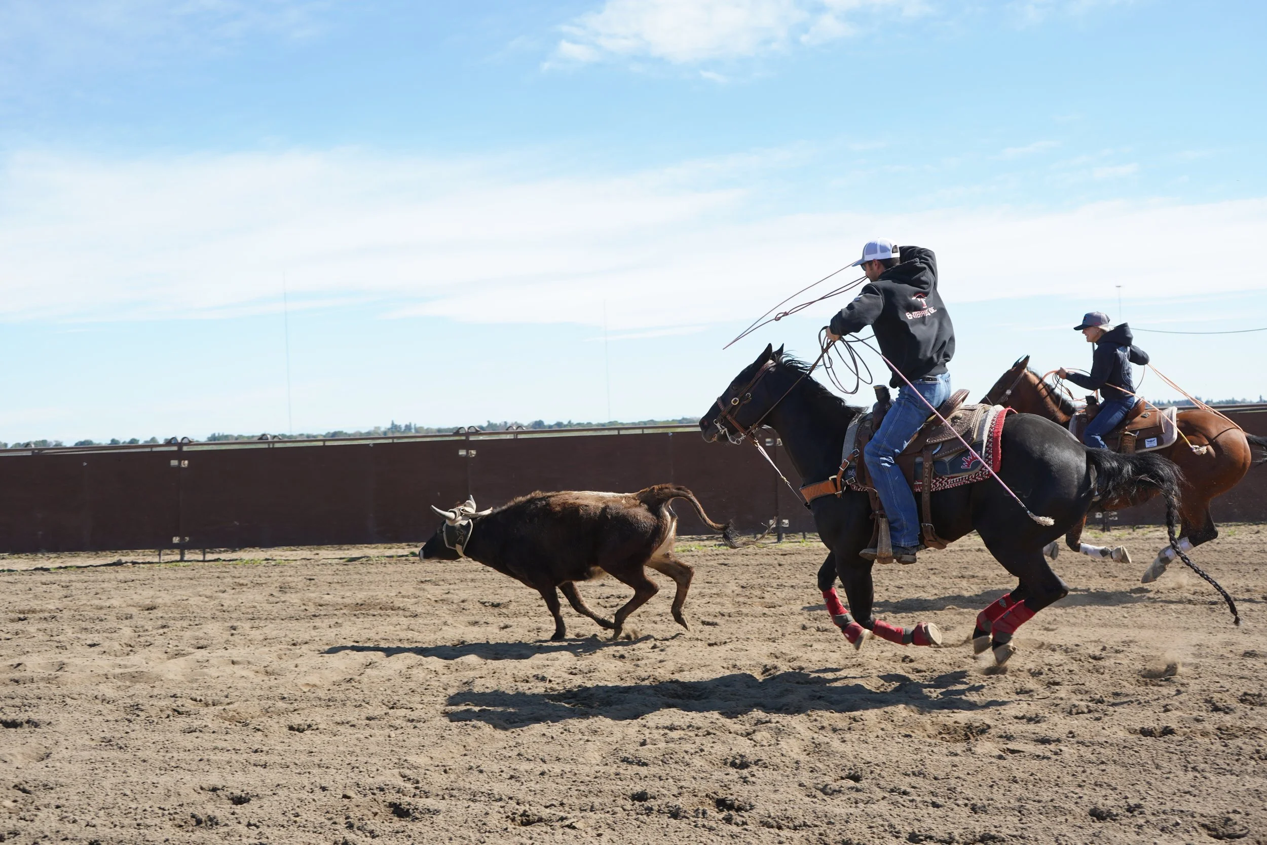 Two cowboys on horseback chasing a calf on a rodeo arena with a clear blue sky.