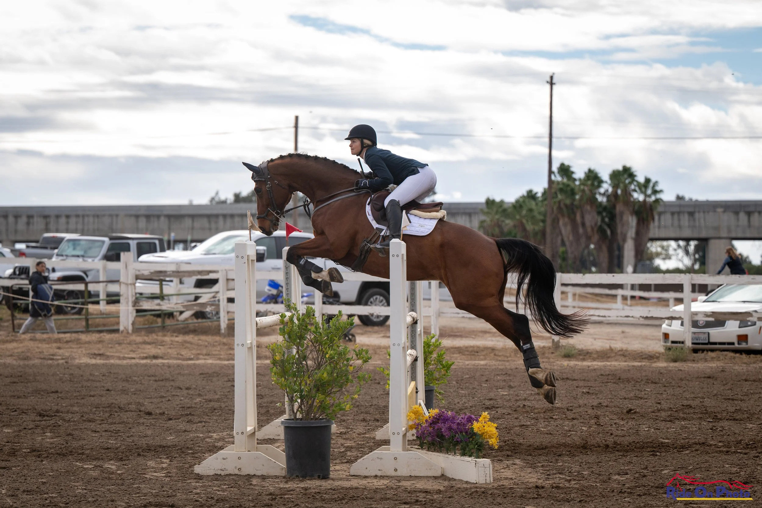 A female equestrian rider wearing a helmet and riding gear jumping over an obstacle on a brown horse during a show jumping competition. The obstacle has white rails and contains potted flowers at its base. The background shows parked cars, a fence, a