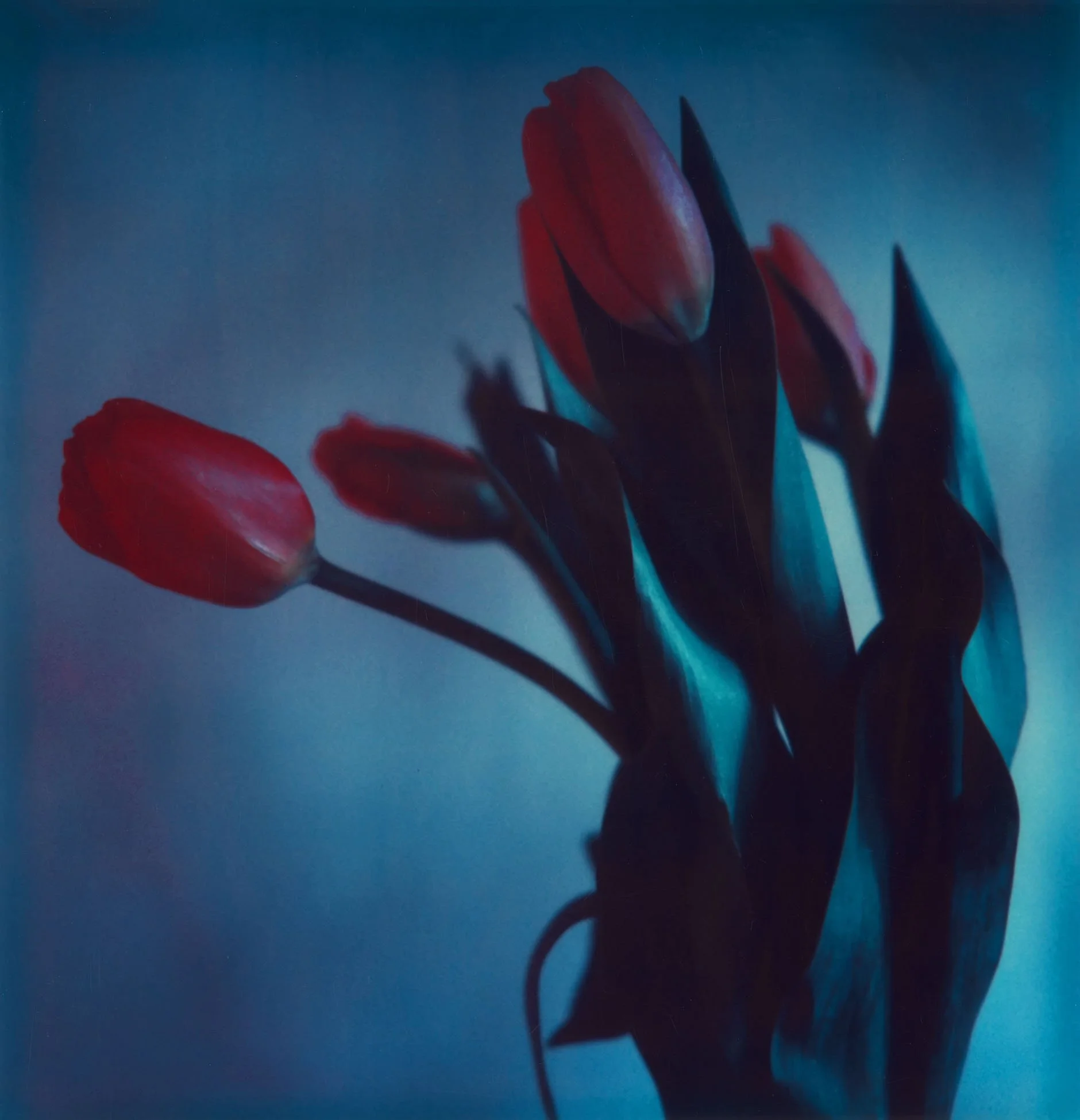 "Ephemera", on Polaroid, Tokyo 1999