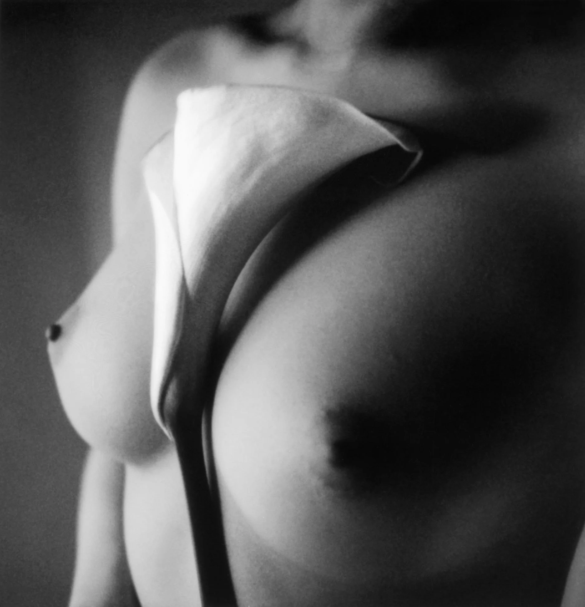 "Ephemera", on Polaroid, Tokyo 1999