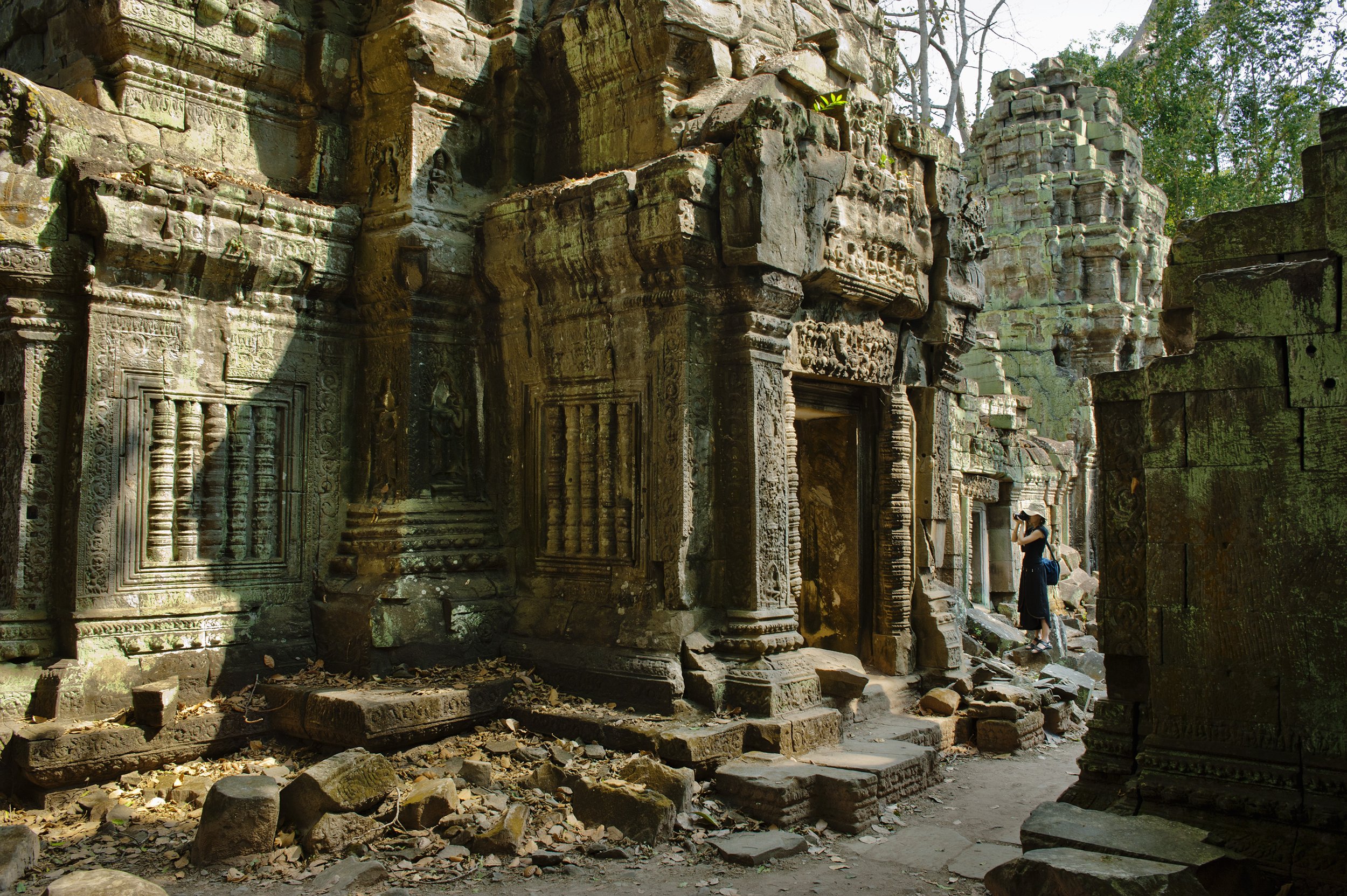 Ta Prohm temple, 1186, Angkor Thom, CAMBODIA
