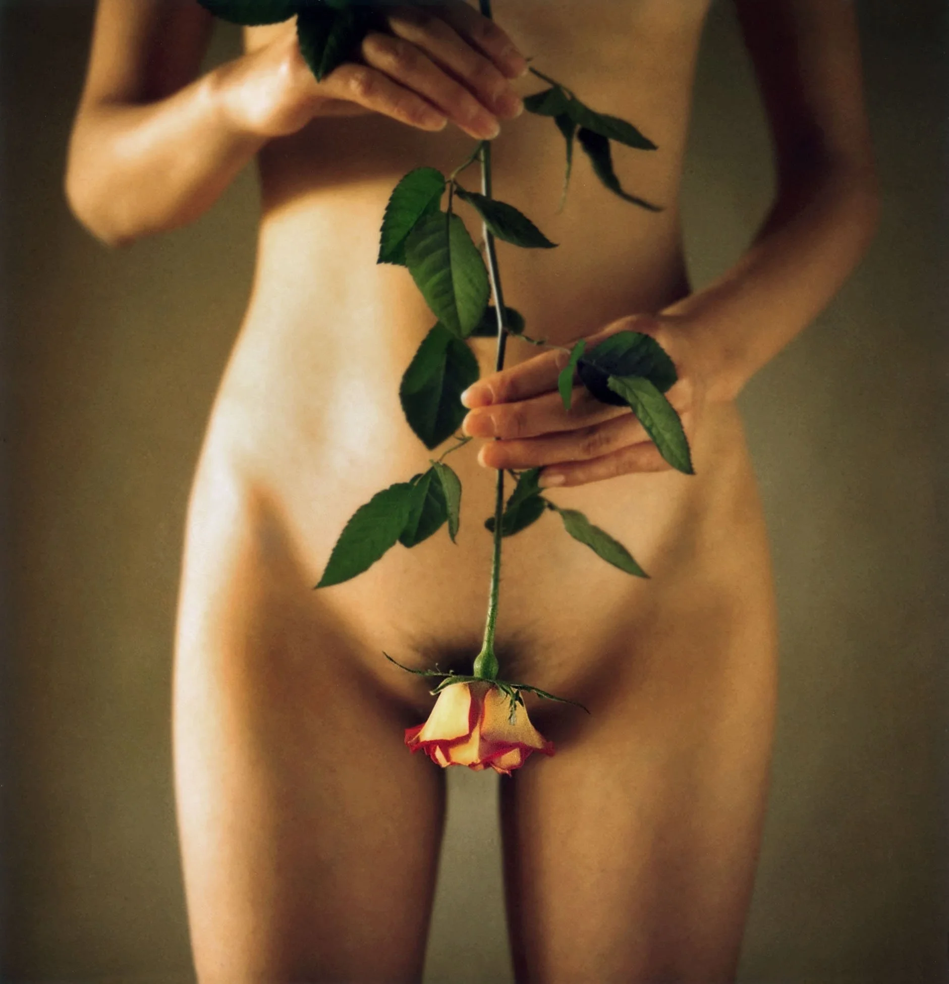 "Ephemera", on Polaroid, Tokyo 1999