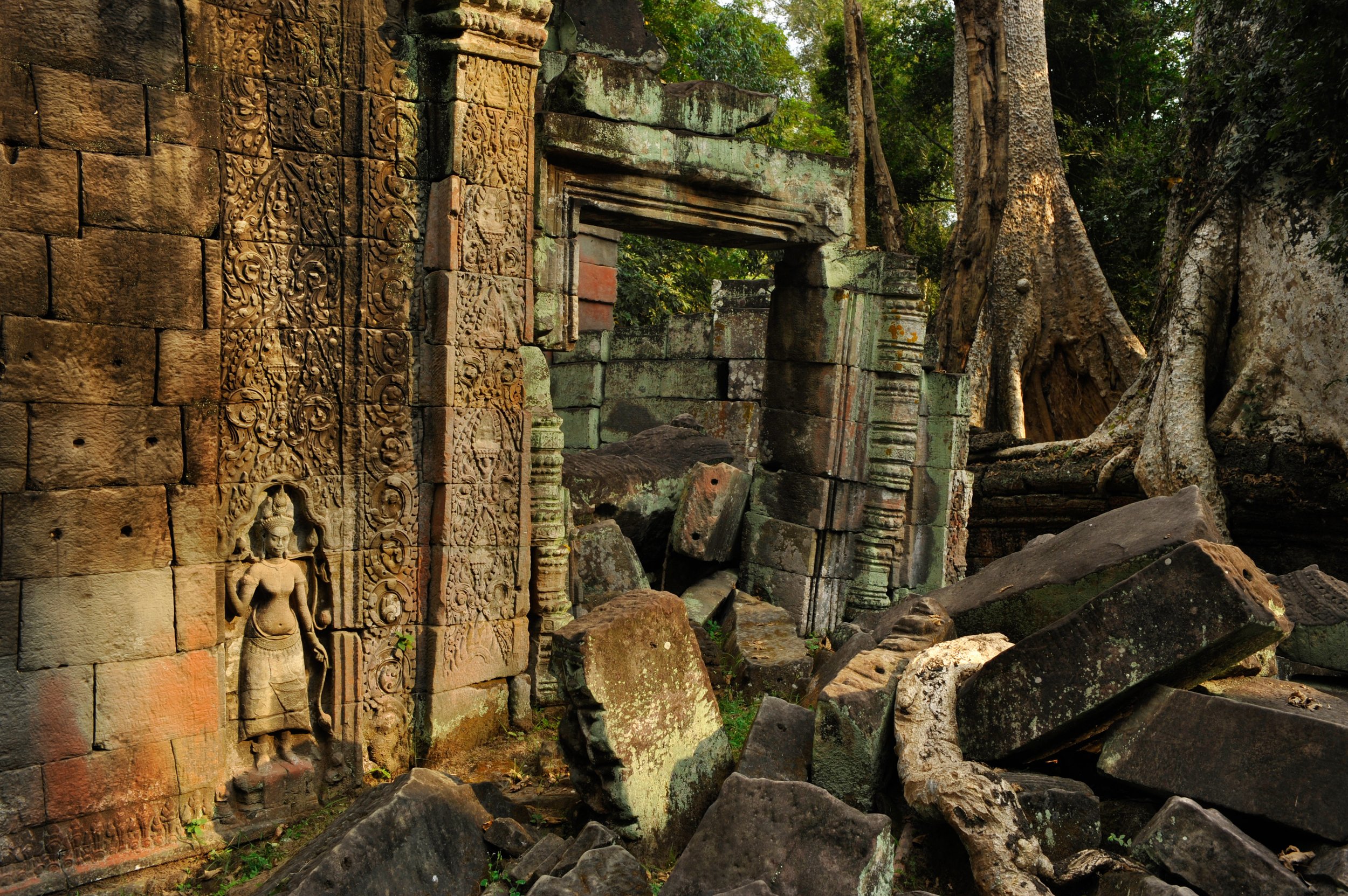Ta Prohm temple, late 12th century, Angkor  UNESCO World Heritage Site, CAMBODIA