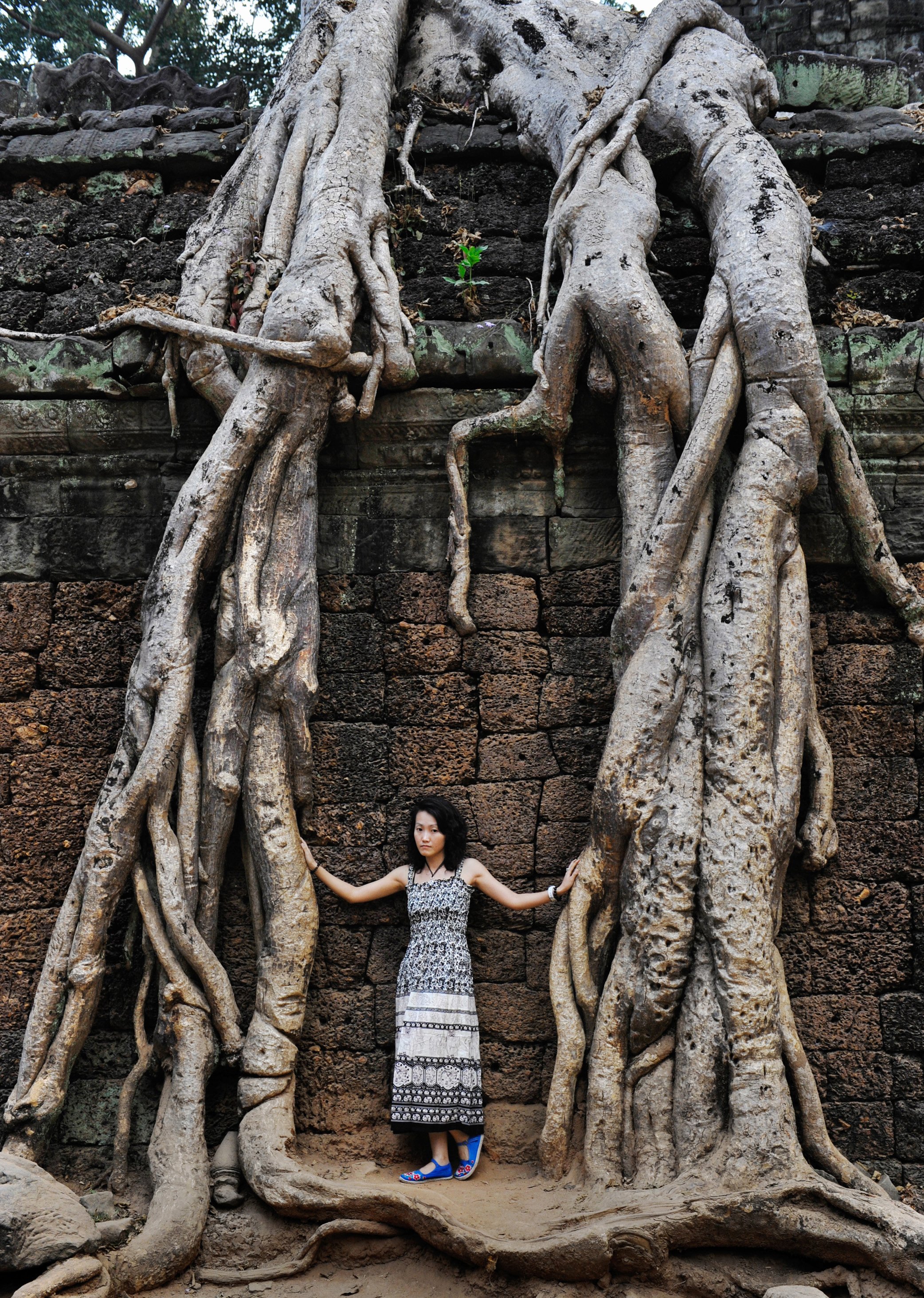 Ta Prohm temple, late 12th century, Angkor  UNESCO World Heritage Site, CAMBODIA