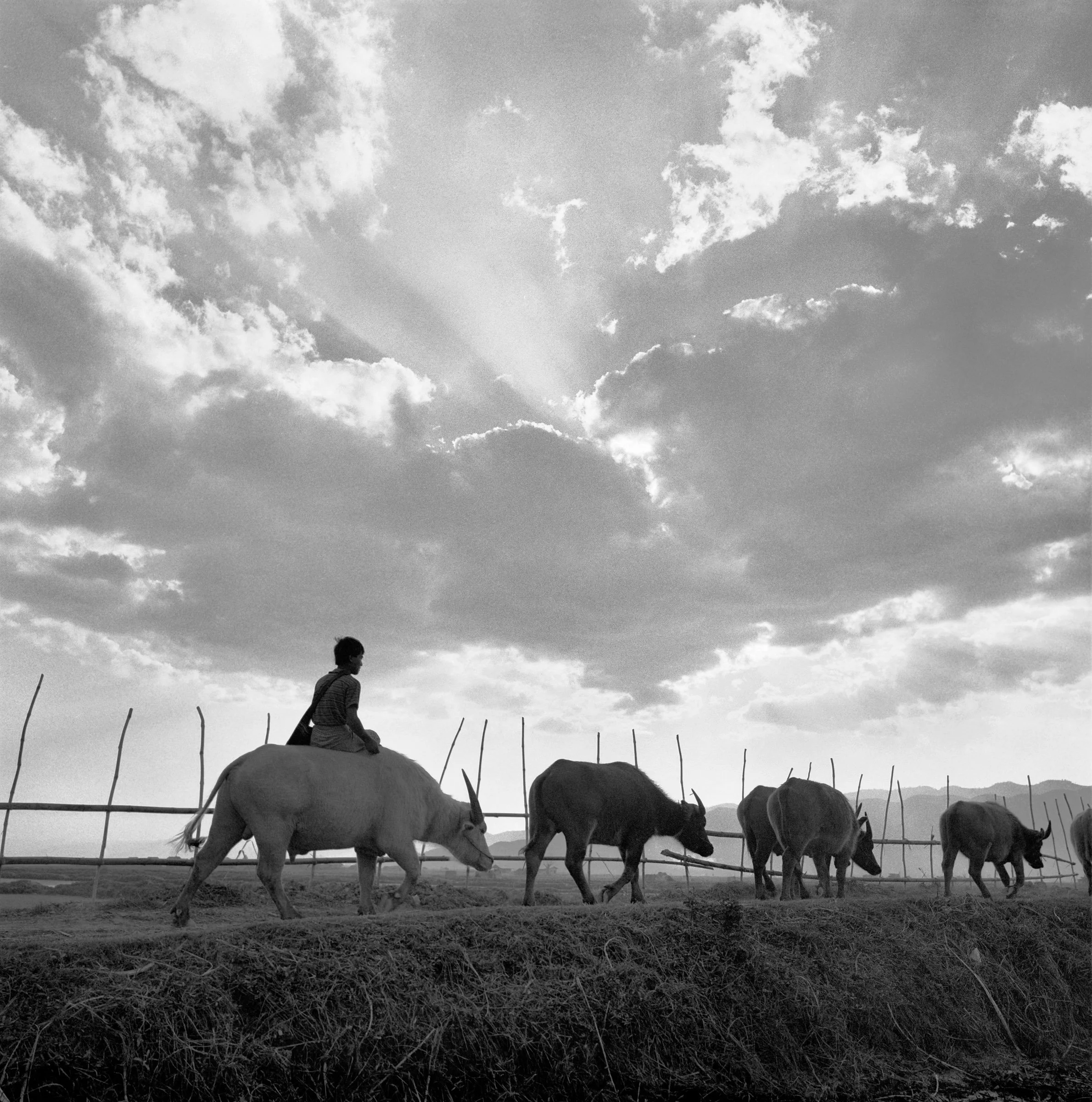 Near the town of Yawnghwe, Inle Lake