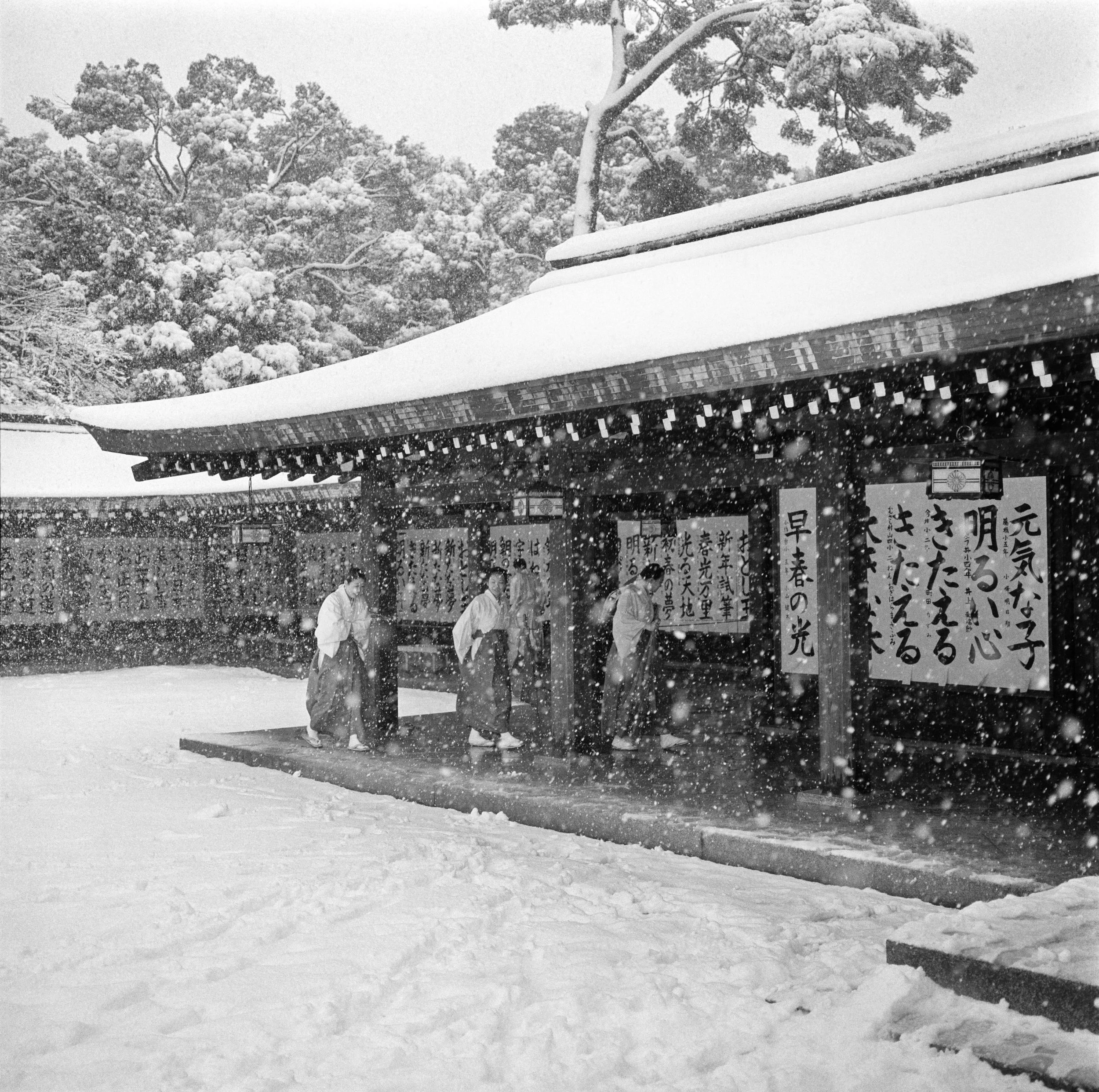 Meiji Jingu, Imperial Shinto Shrine, Tokyo.