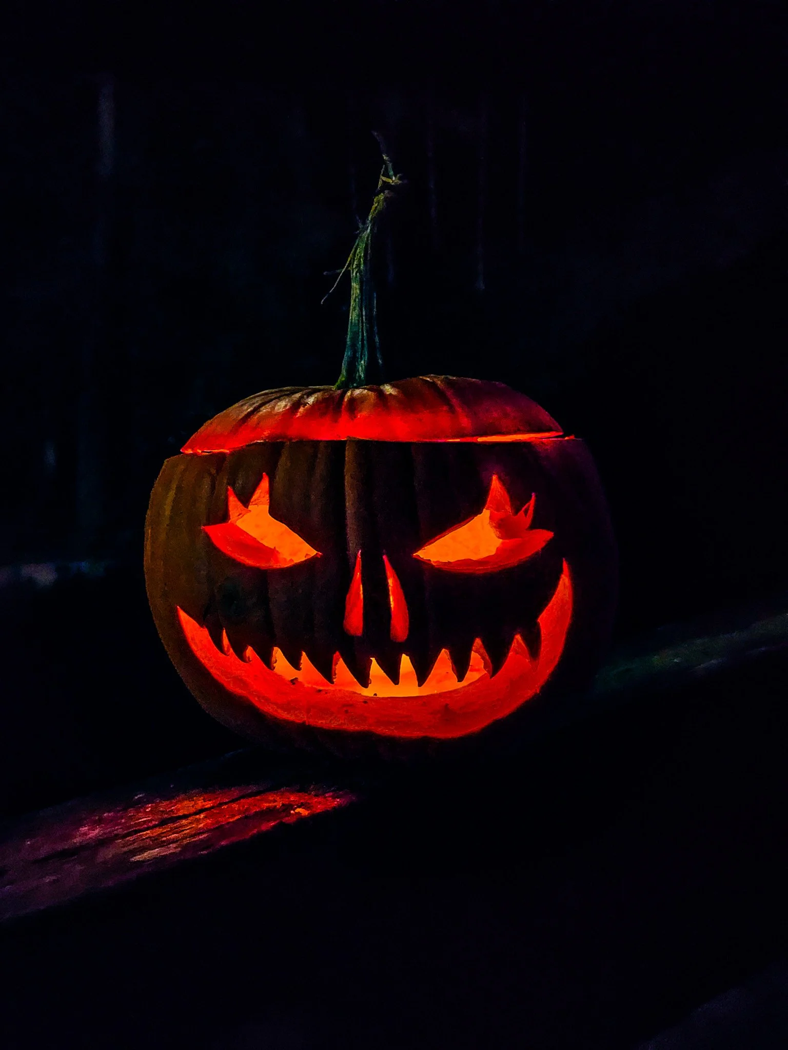 Rannikon kurpitsapuisto.jpg