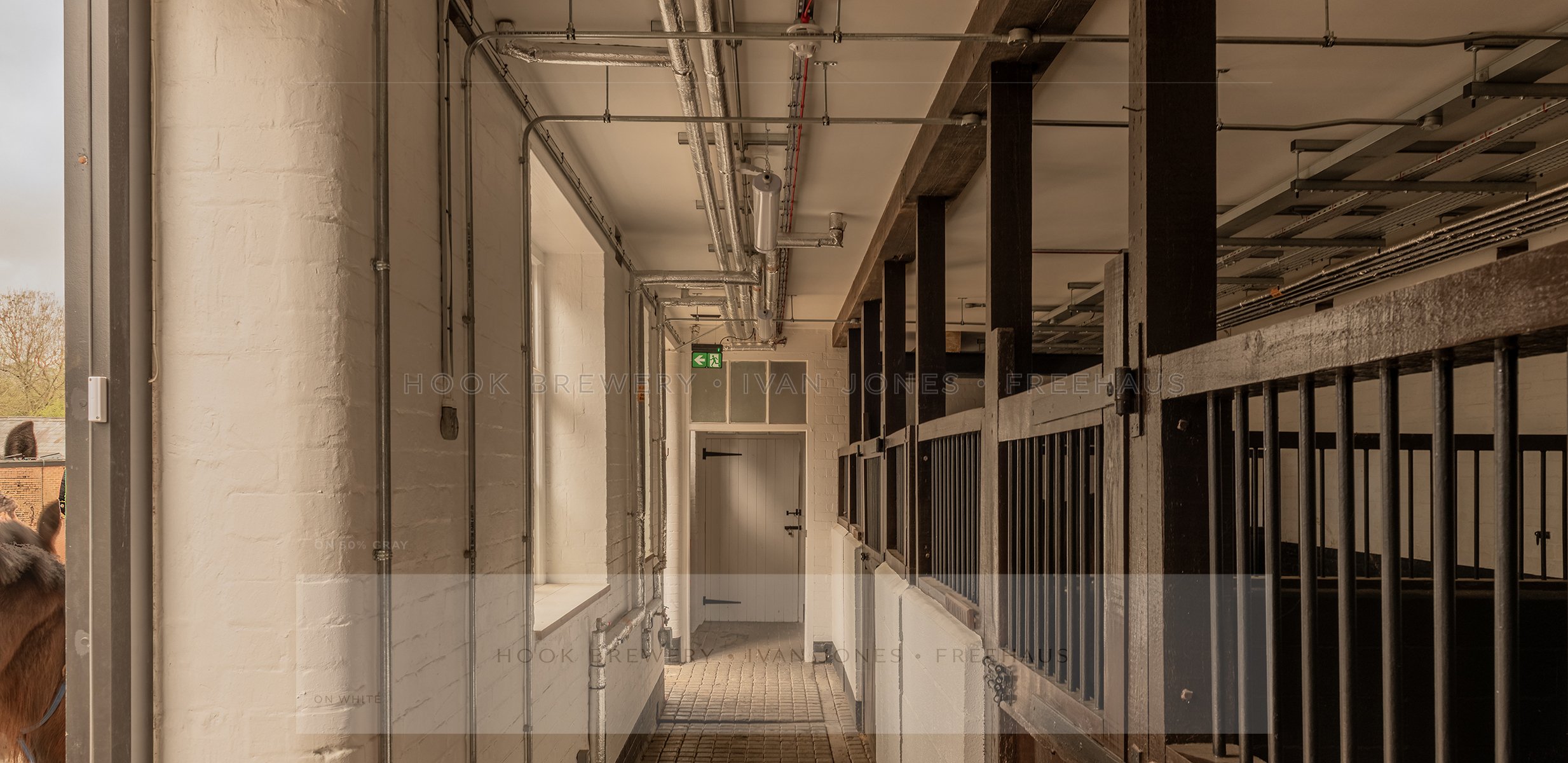 CRO_5736-HDR crop.jpg