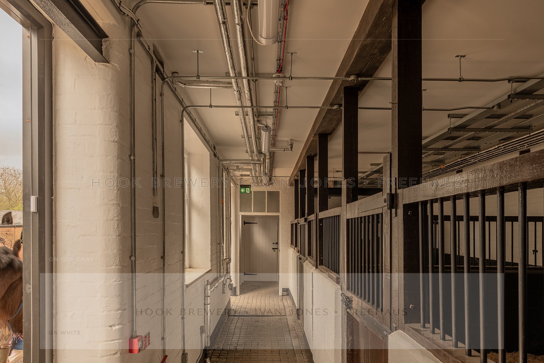 CRO_5736-HDR.jpg