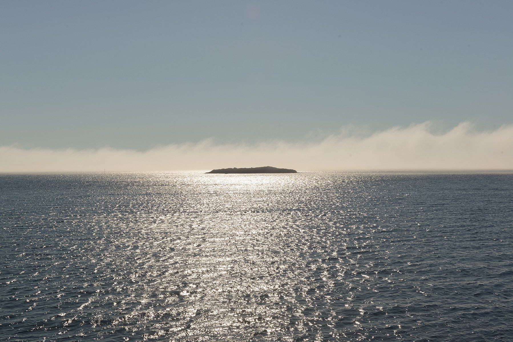 DSC_0384.jpg