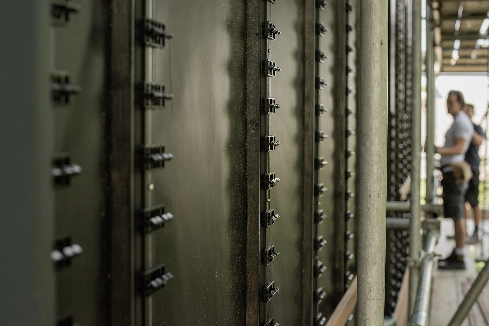 IVJ_8482.jpg