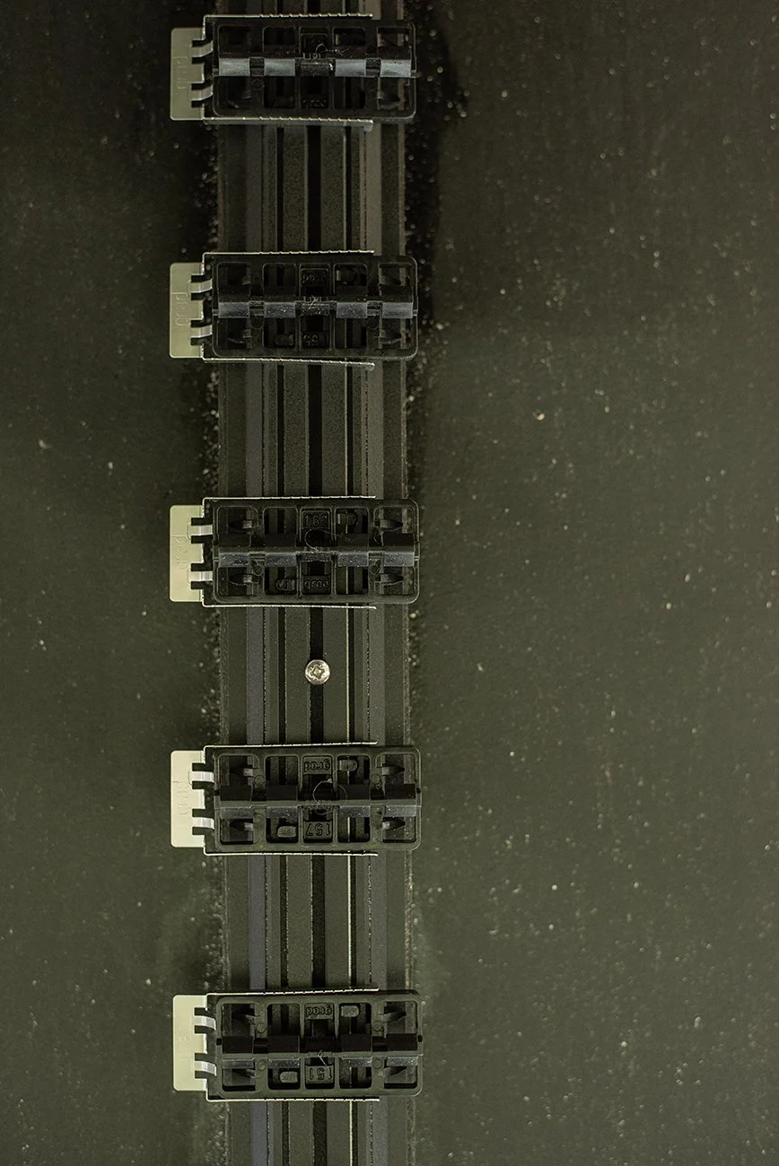 IVJ_8488.jpg
