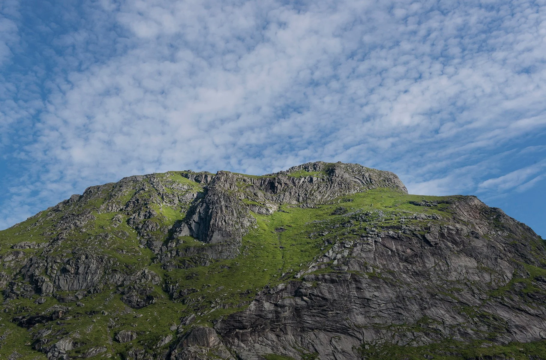 var01_0443.jpg