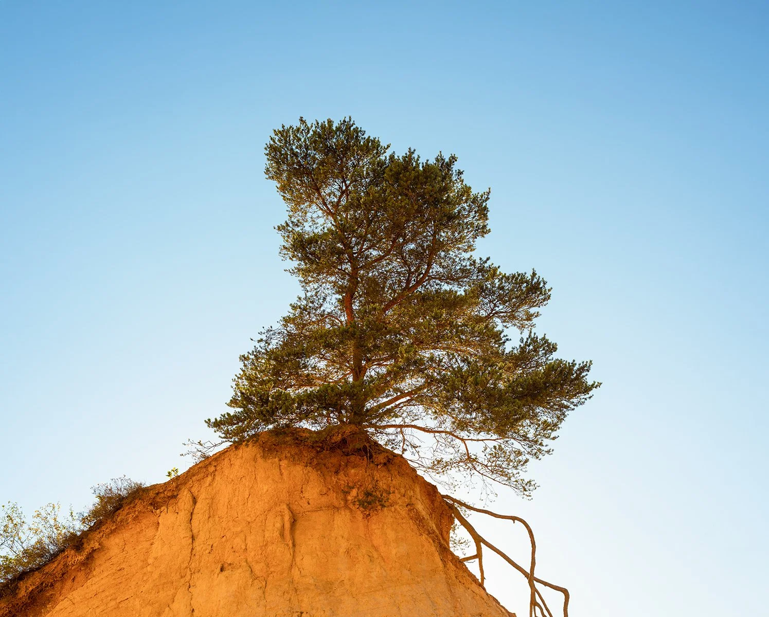 En voie de disparition