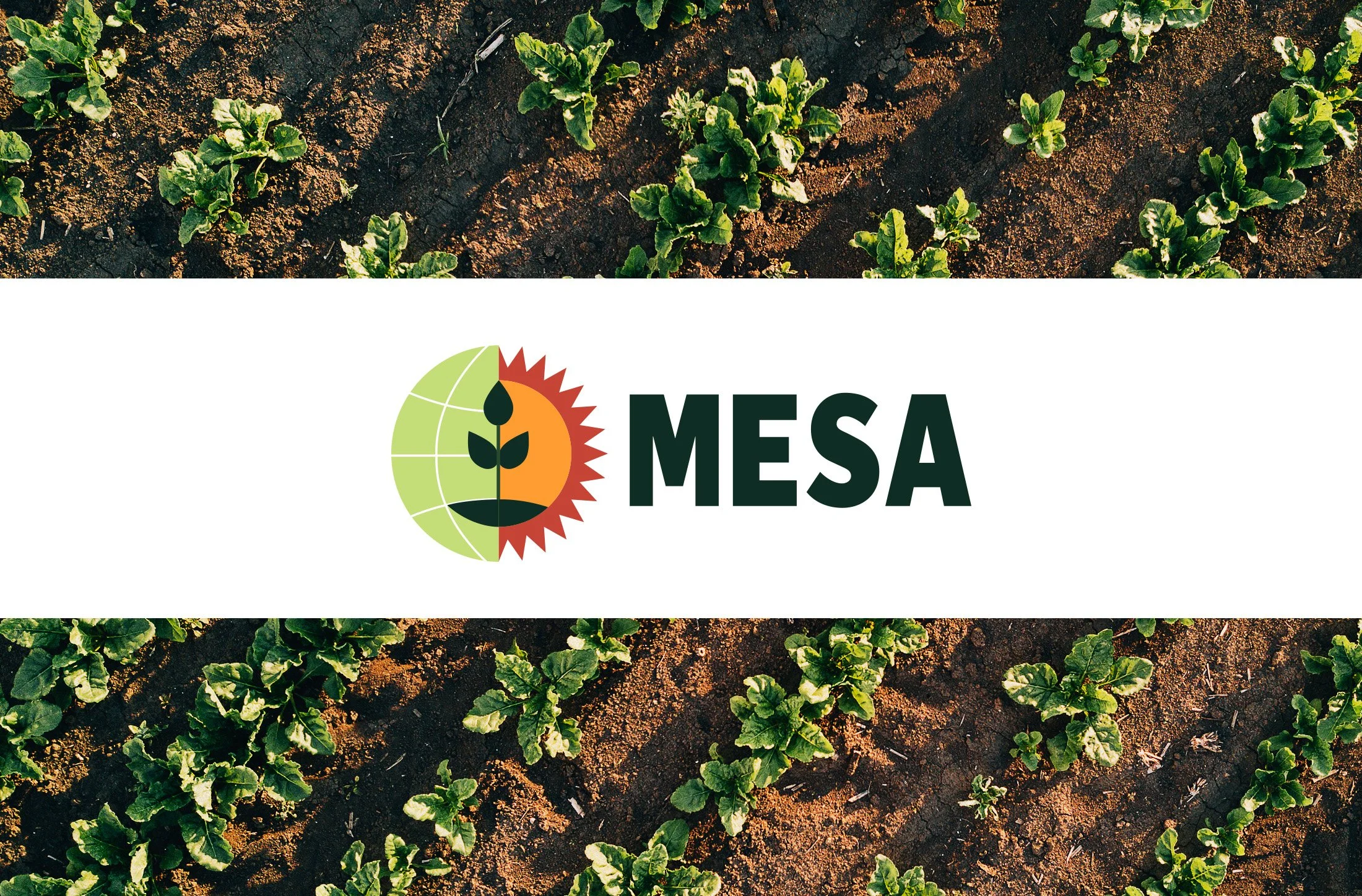 MESA logo