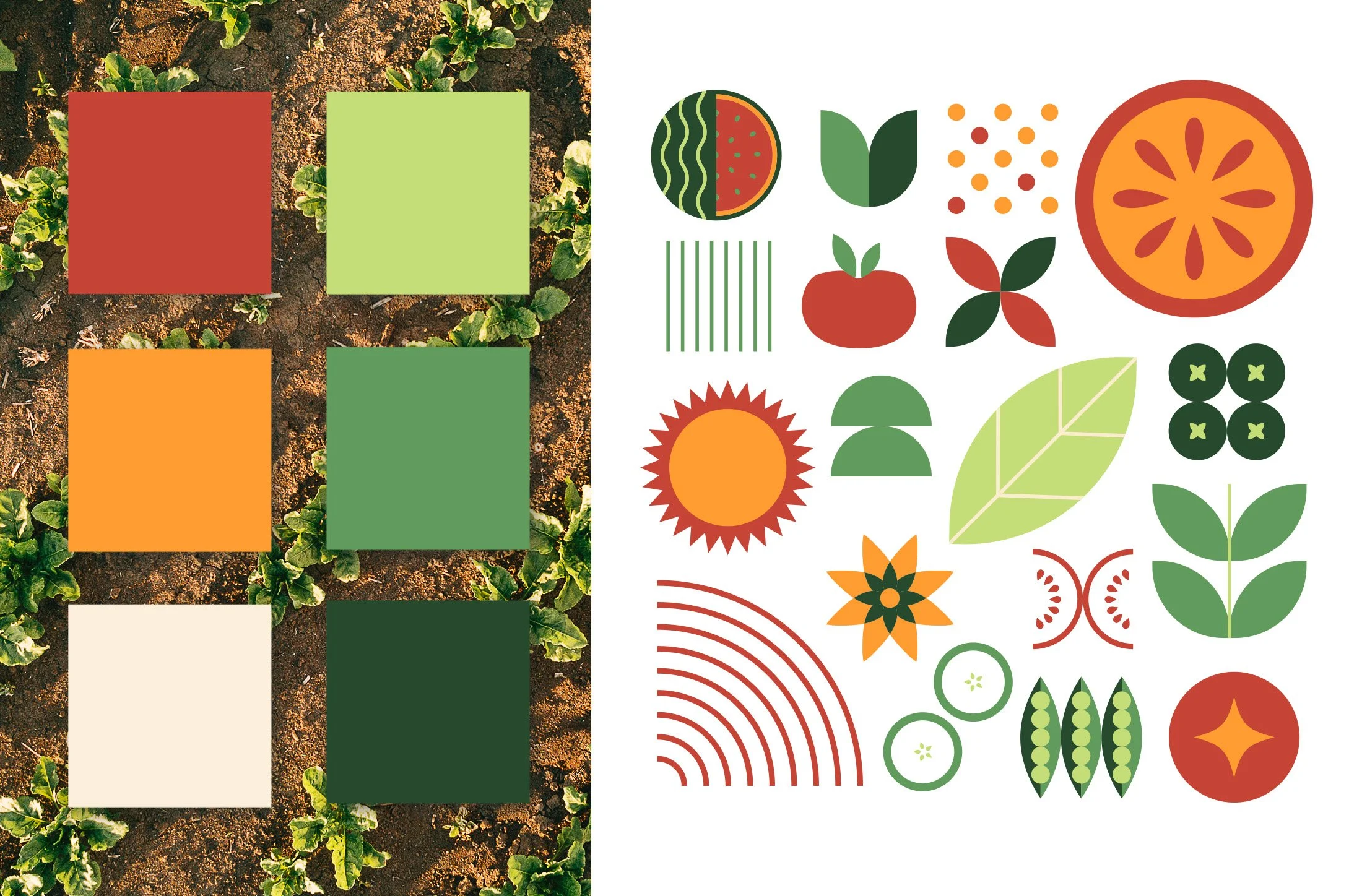 MESA branding elements
