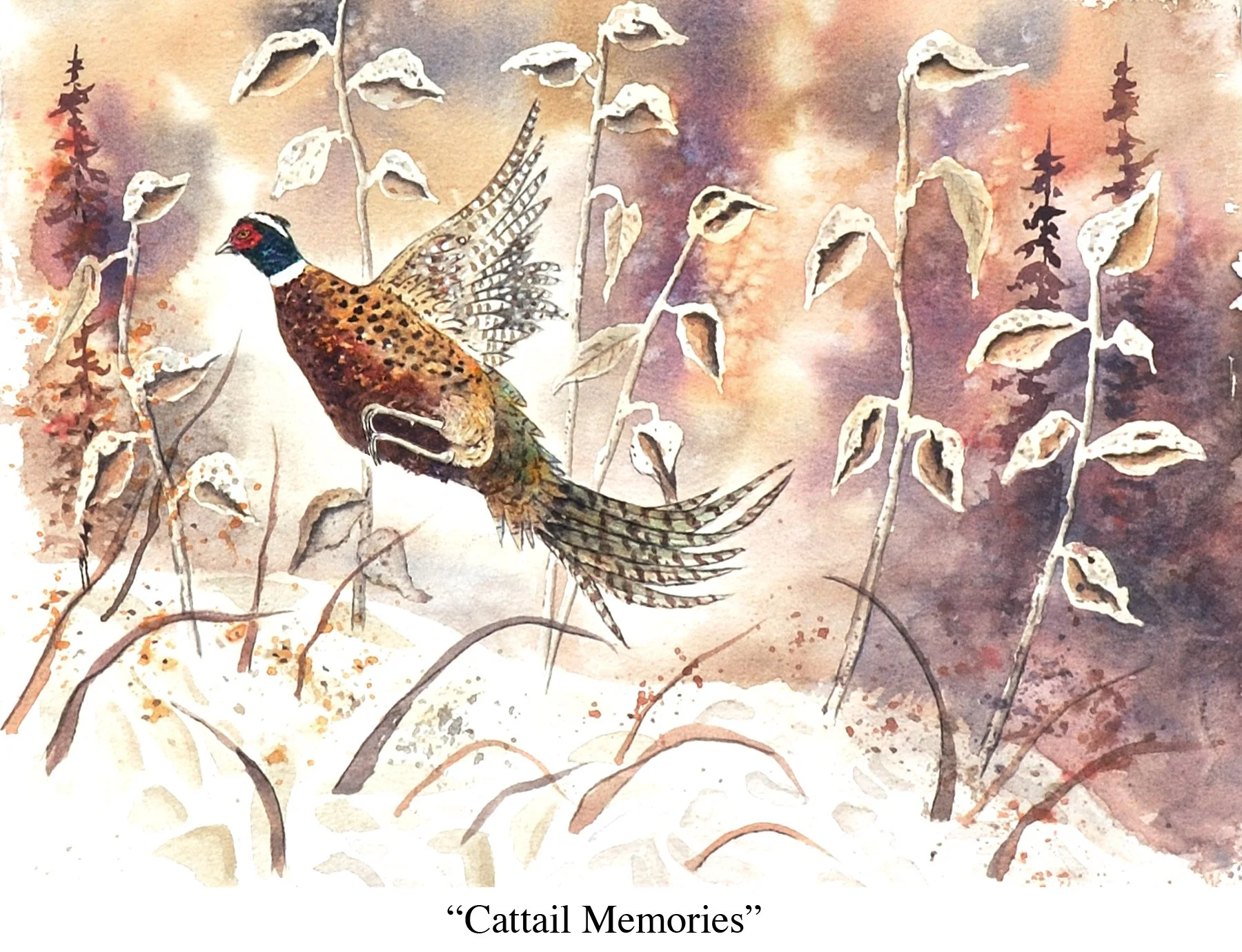 cattail memories C6 copy.jpg