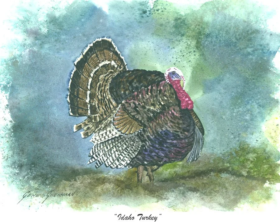 idaho turkey.jpg