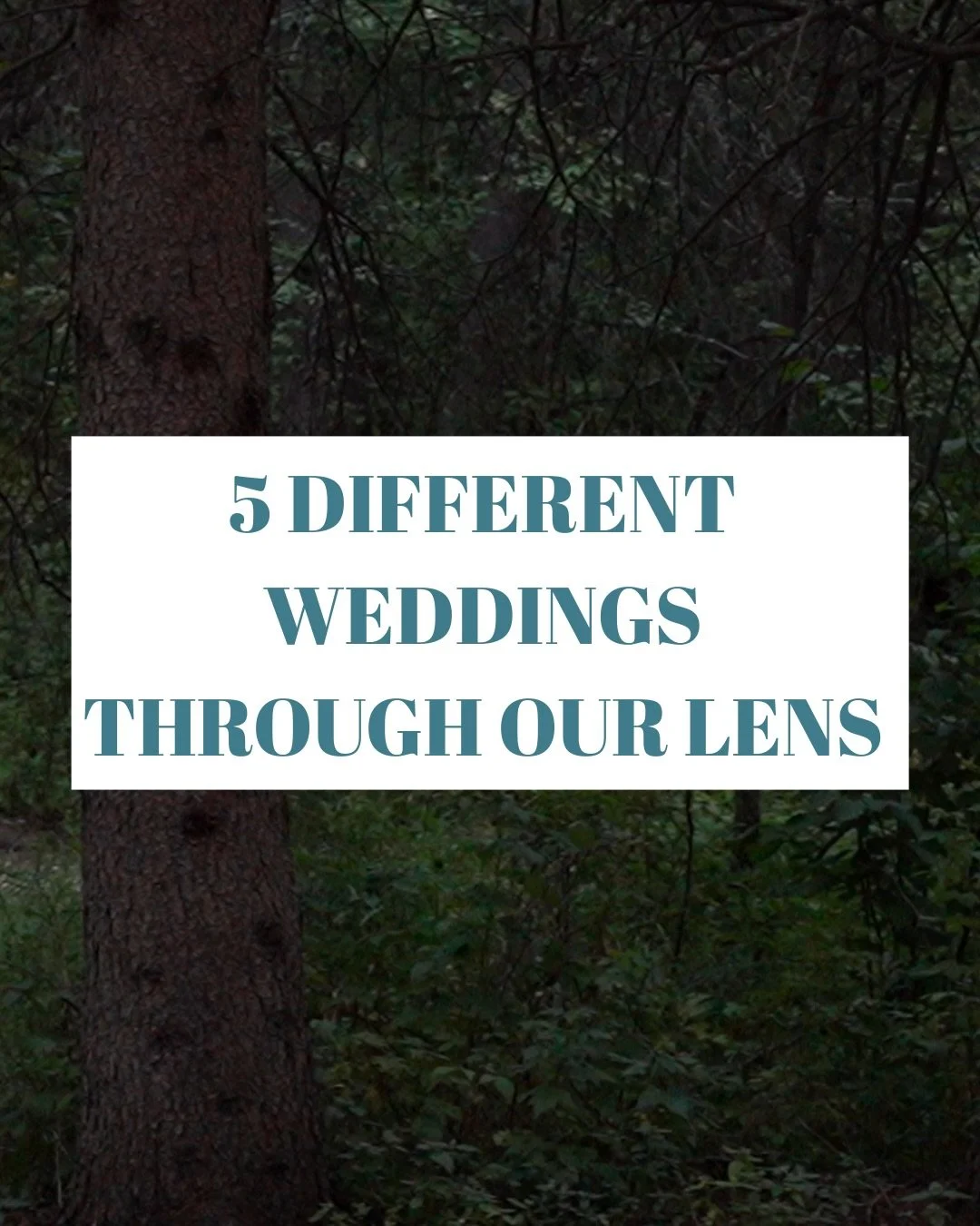 5 weddings we had the honour of filming 🥂

Each one completely unique 🧡 &mdash; which vibe are you choosing? 👀

#weddingvideography #weddinginspiration #wedding #yegweddings