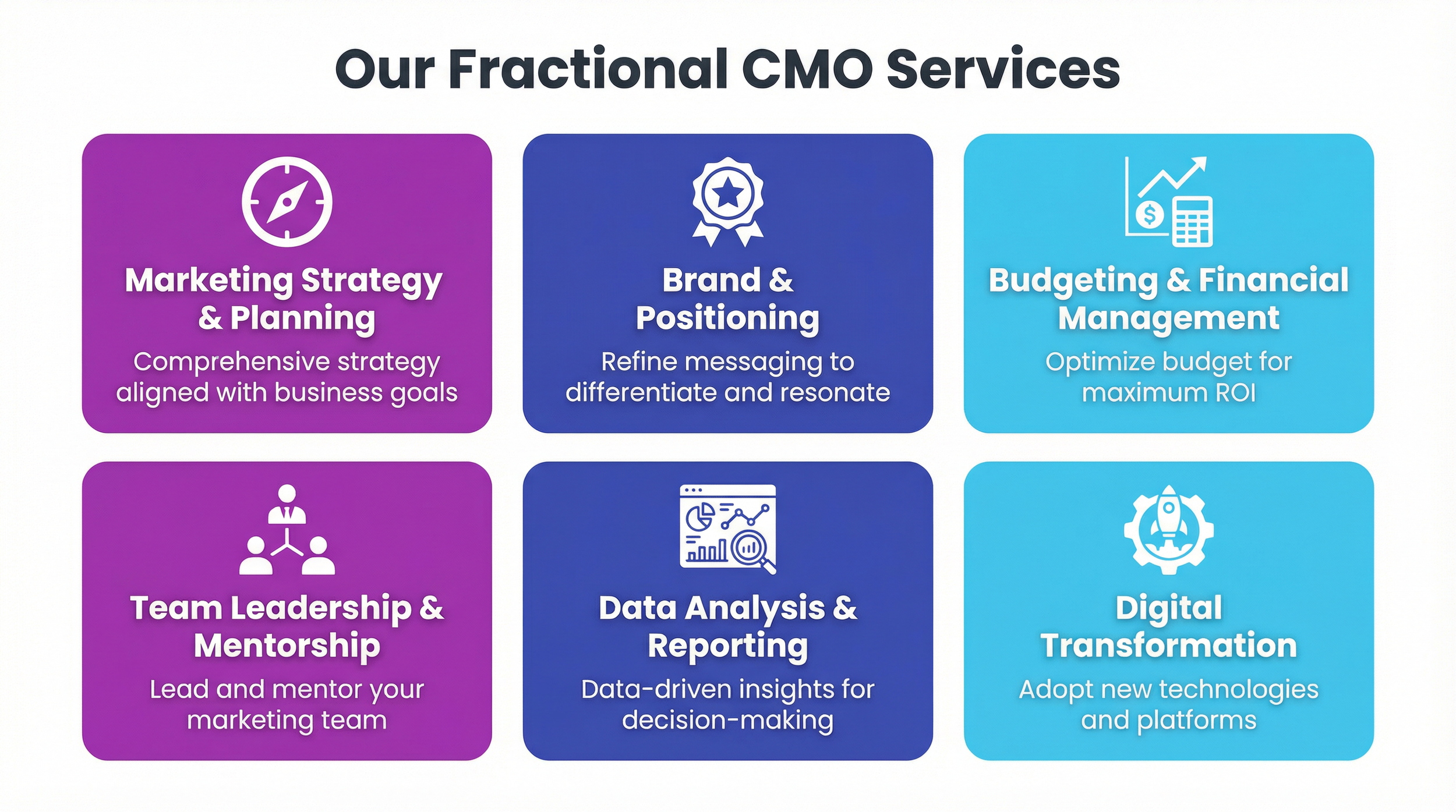 Fractional CMO Services