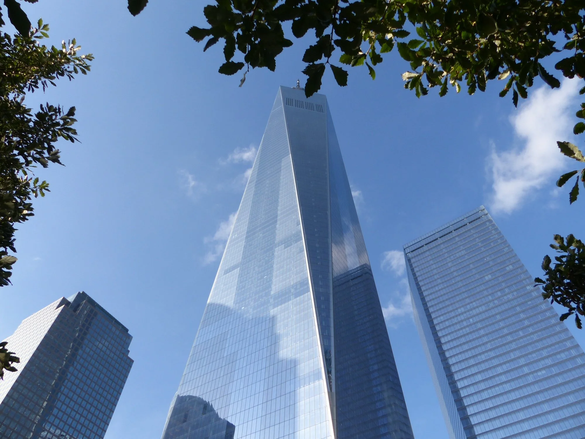 My Favorite NYC Spots