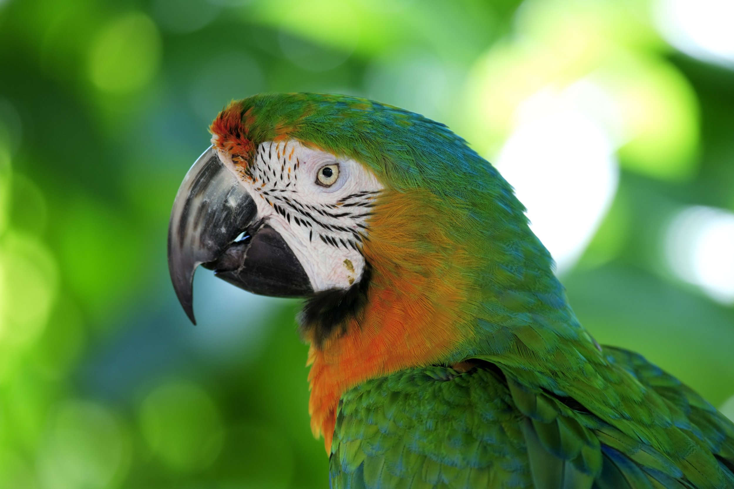 7 underrated travel spots that should be on your bucket list