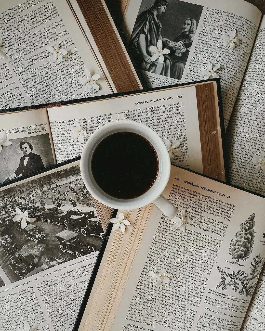 Books That Expand Your Mind