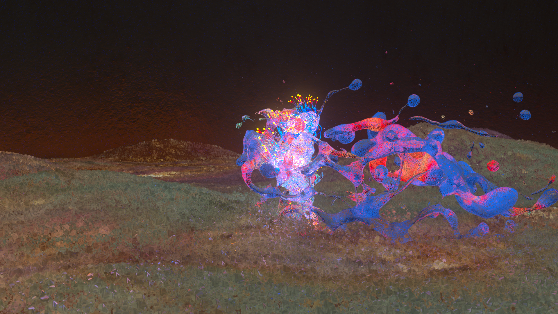 CAM2_241-450.0443.png