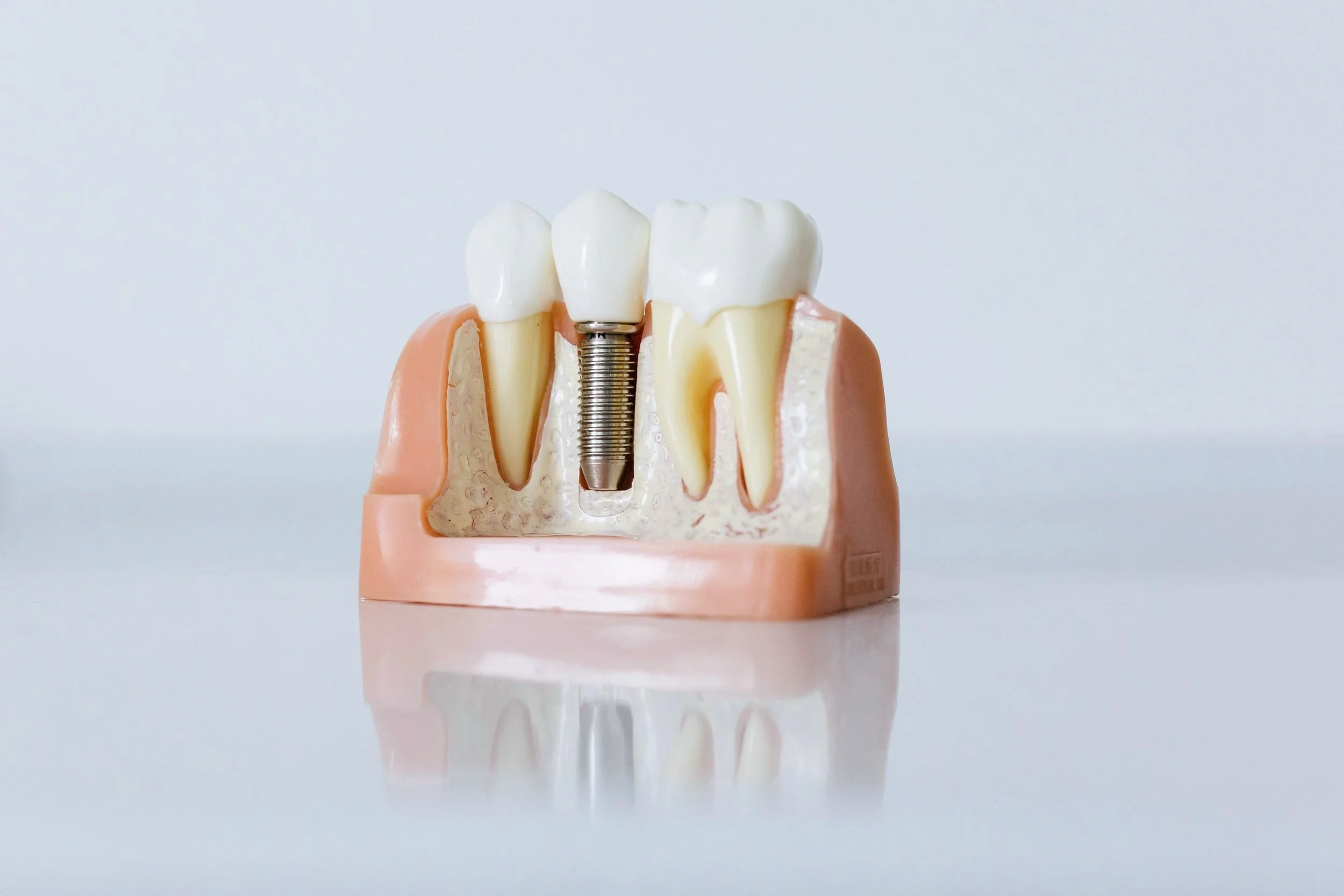 Nuvo Dental Arts