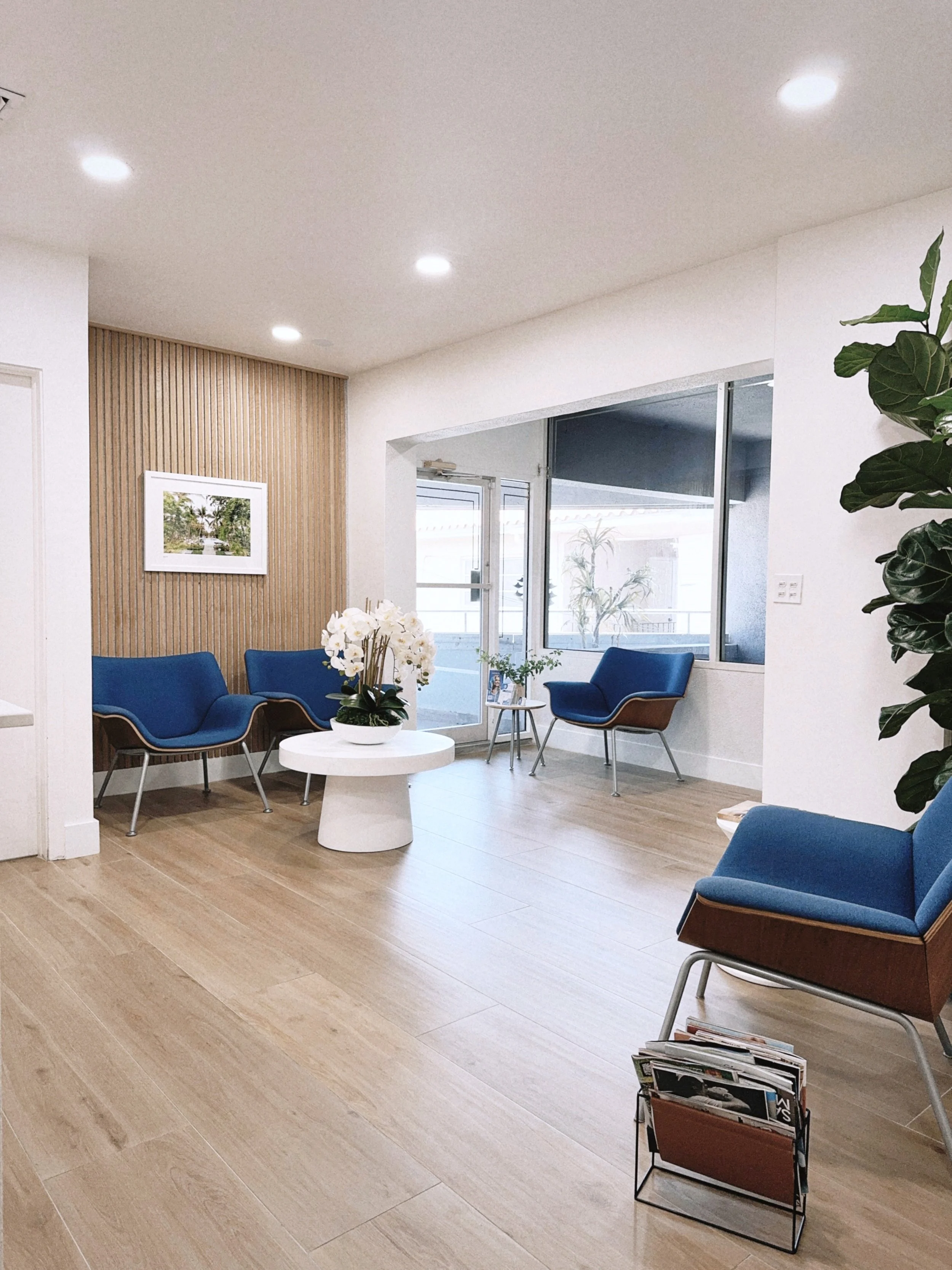 Nuvo Dental Arts