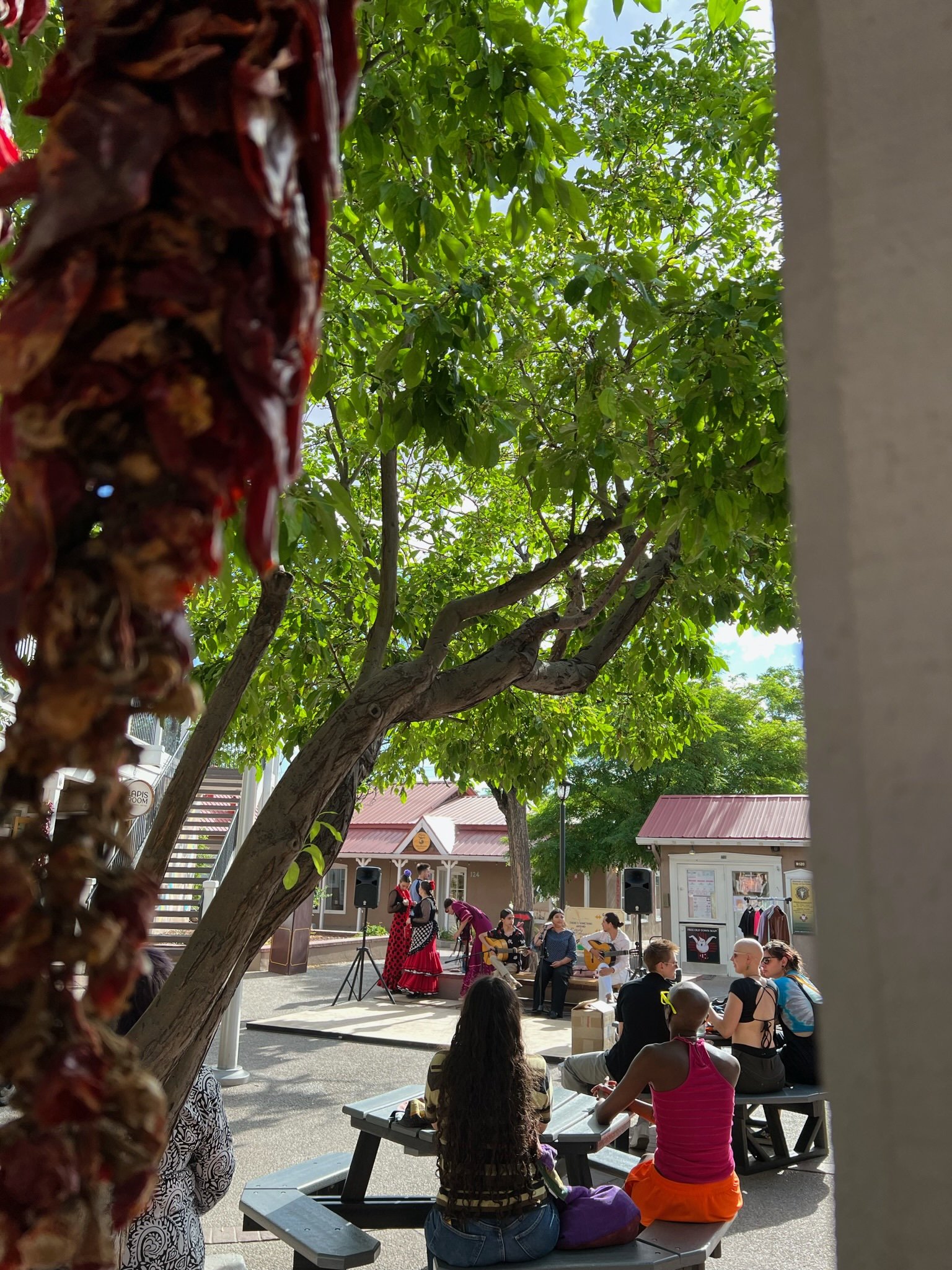 Plaza Don Luis Spring Music Series