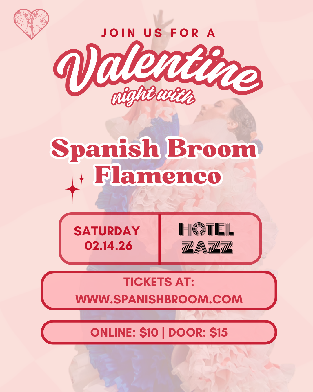 Spanish Broom at Hotel Zazz