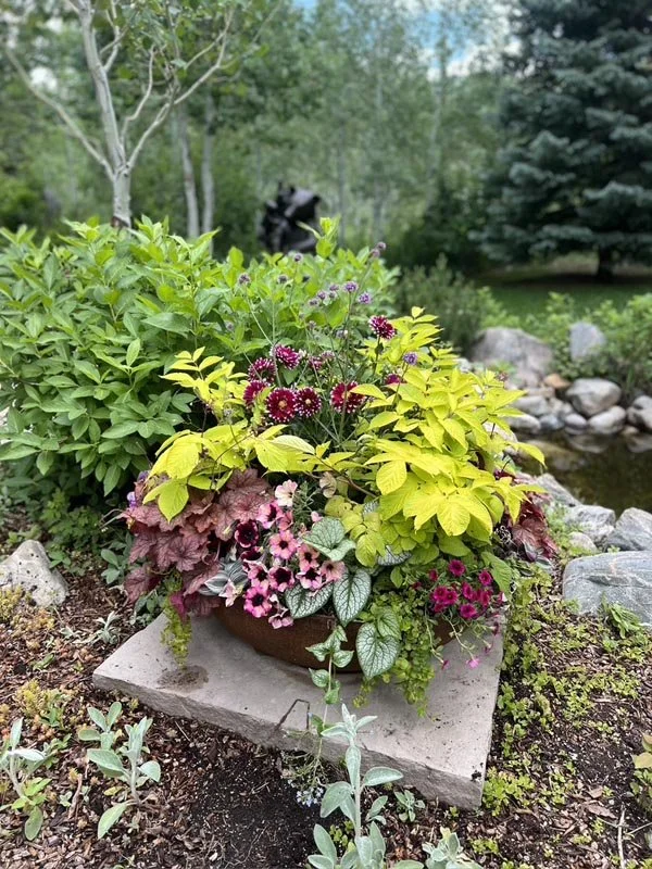 Natures-Design-Steamboat-Spings-Colorado-landsaping- (73).jpg