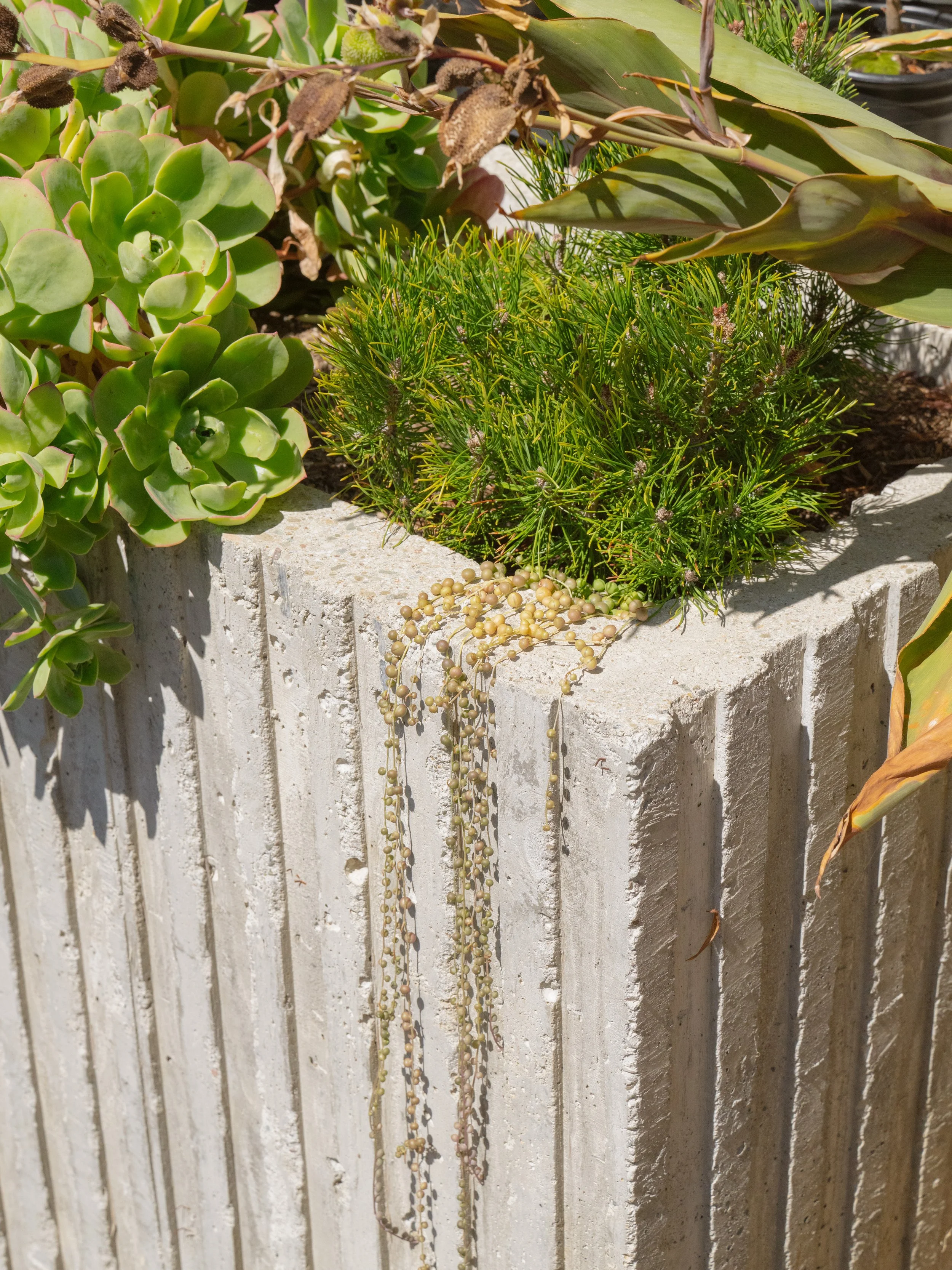 1_Exterior_DetailPlanter.jpg
