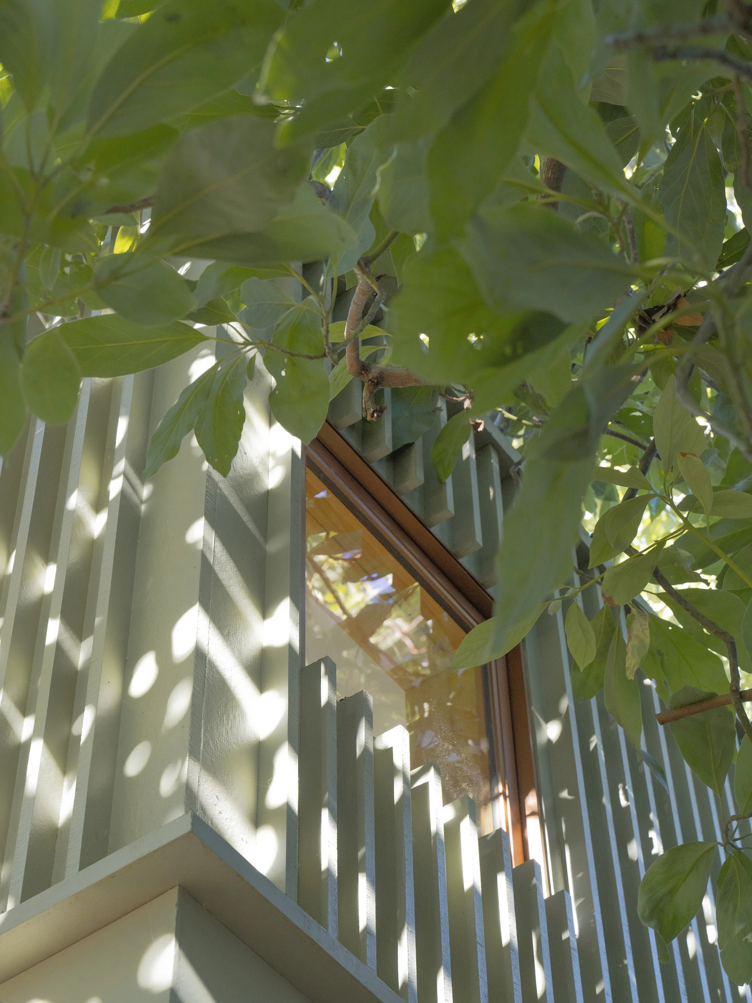 Exterior_WindowDetail+Leaves_3000x4000.jpg