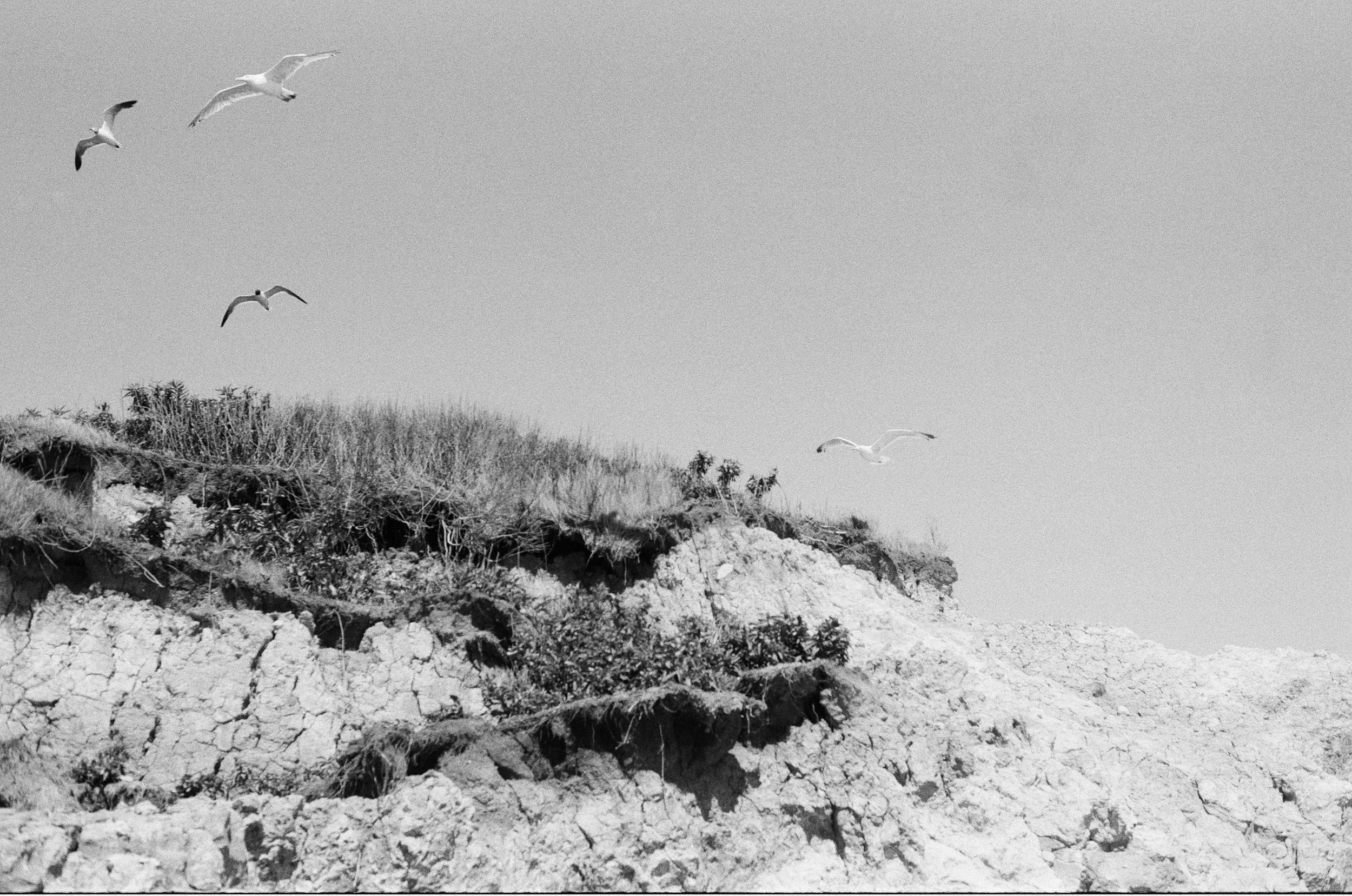 250830054770080023 copy.jpg