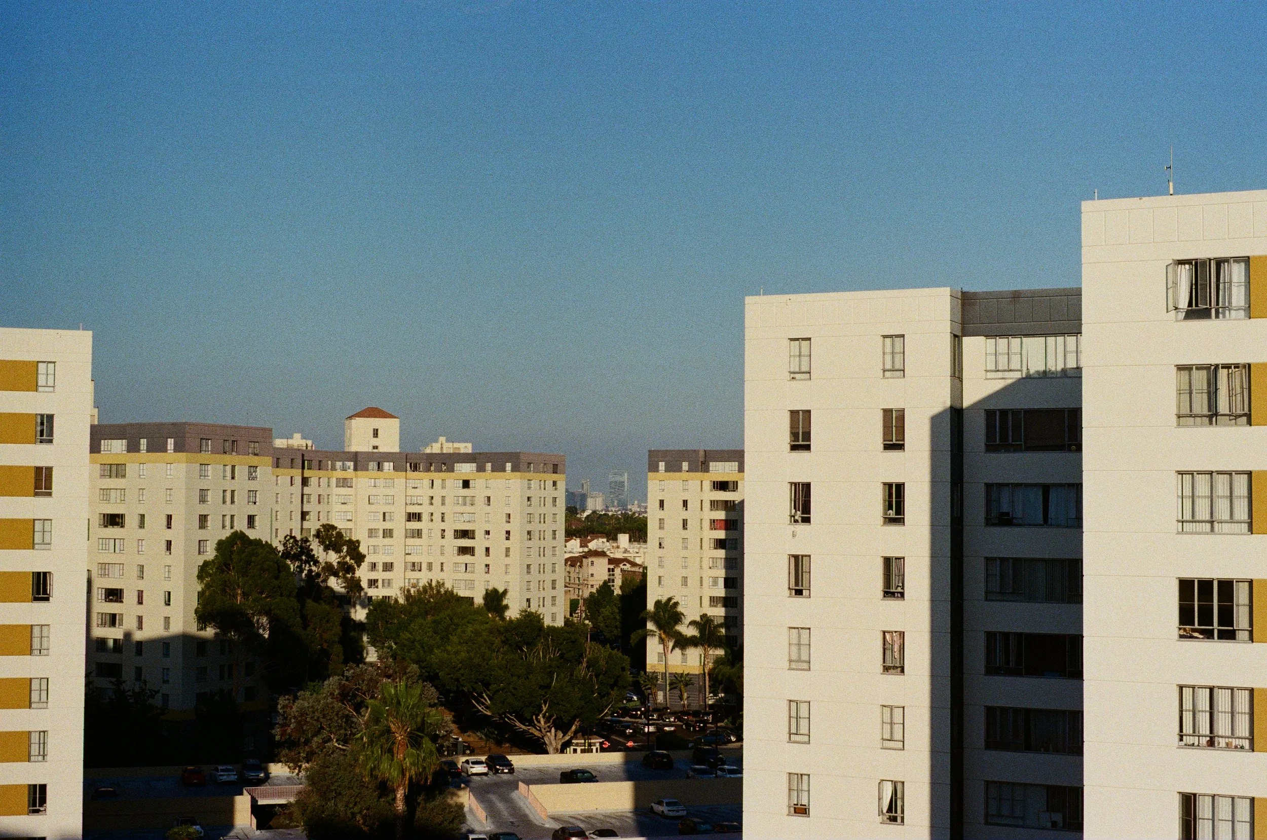 250830054770030010 copy.jpg