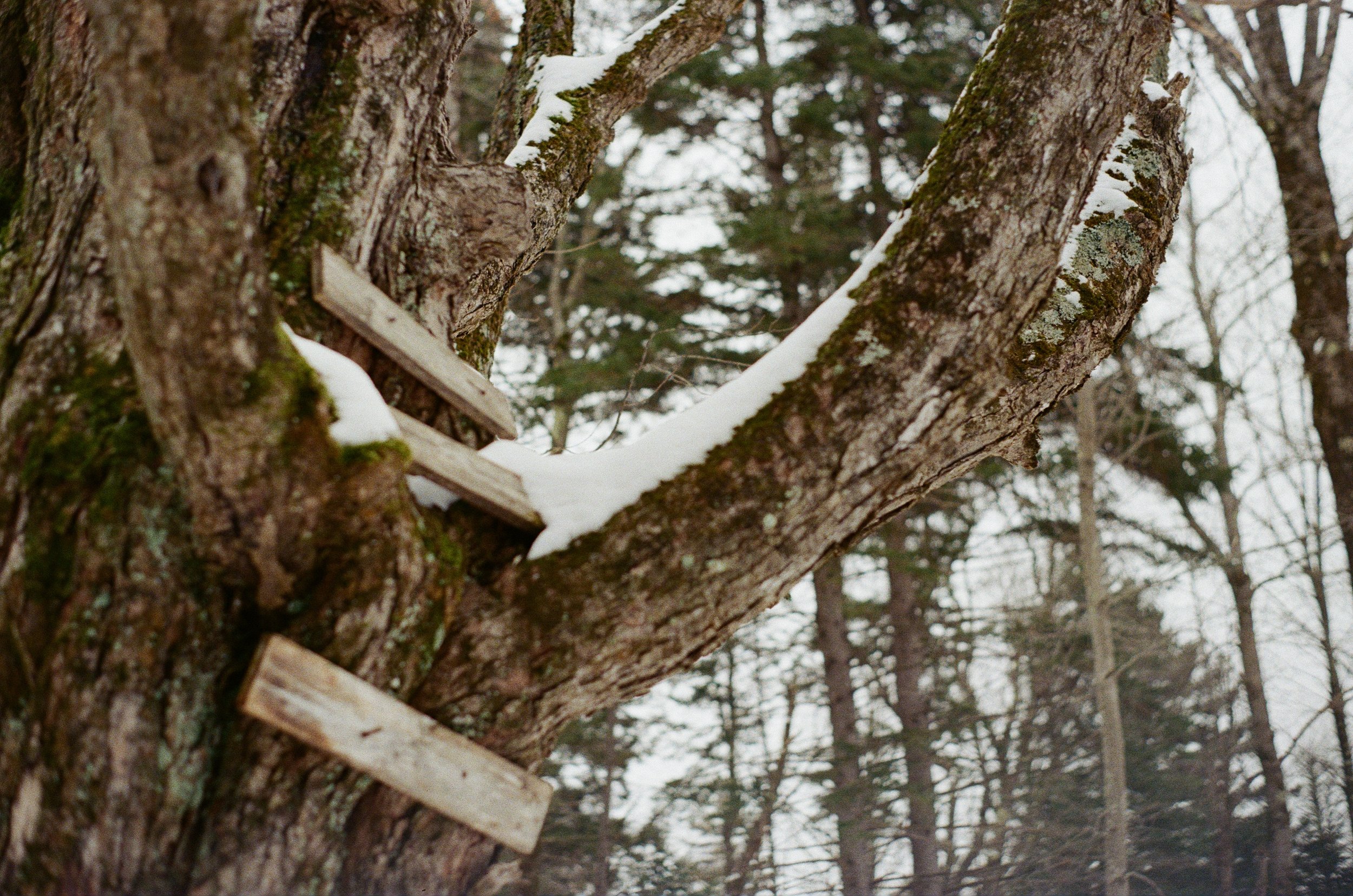 250830054770020025 copy.jpg