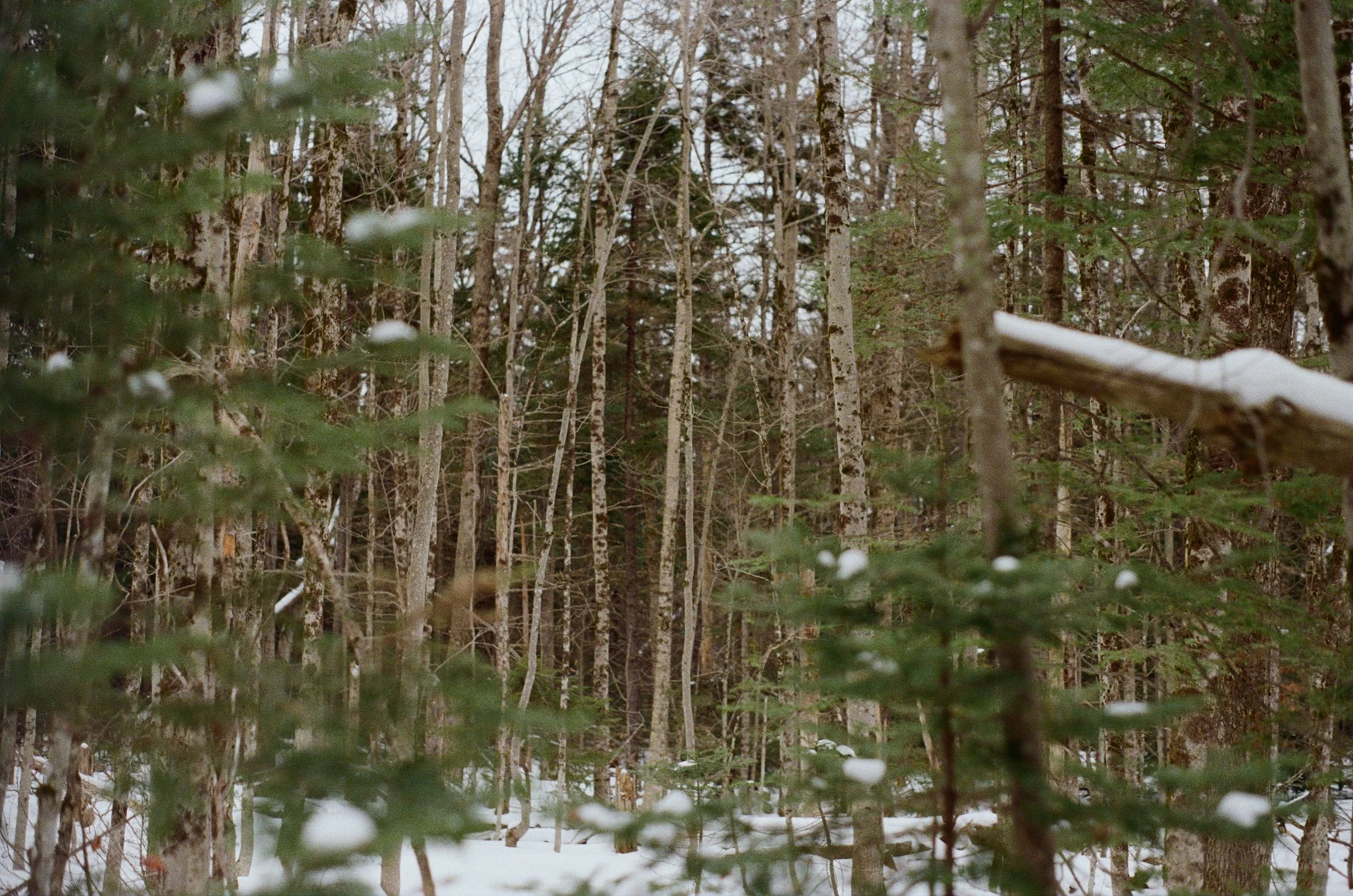 250830054770020027 copy.jpg