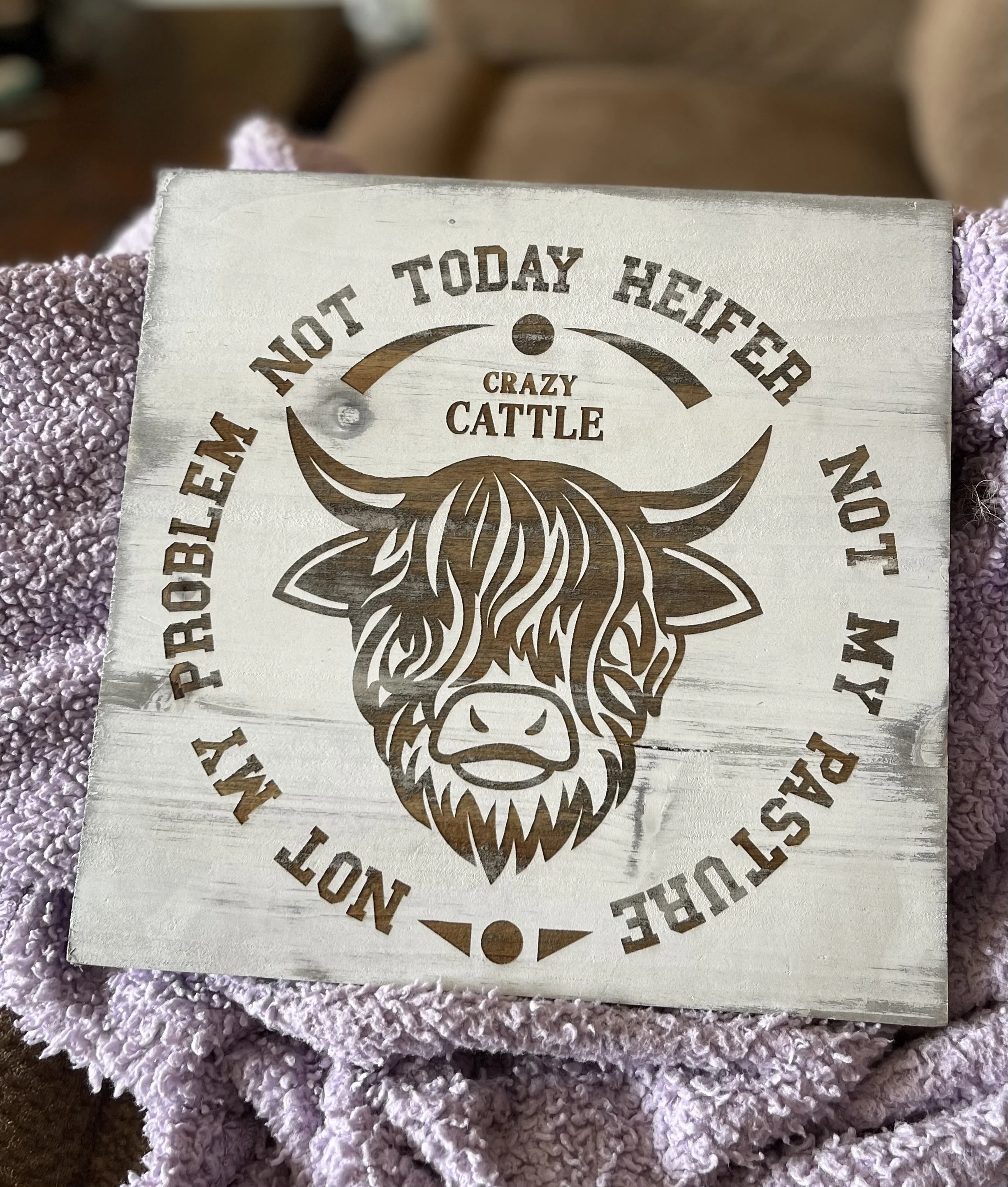 Hanging wood picture 'Not Today Heifer'