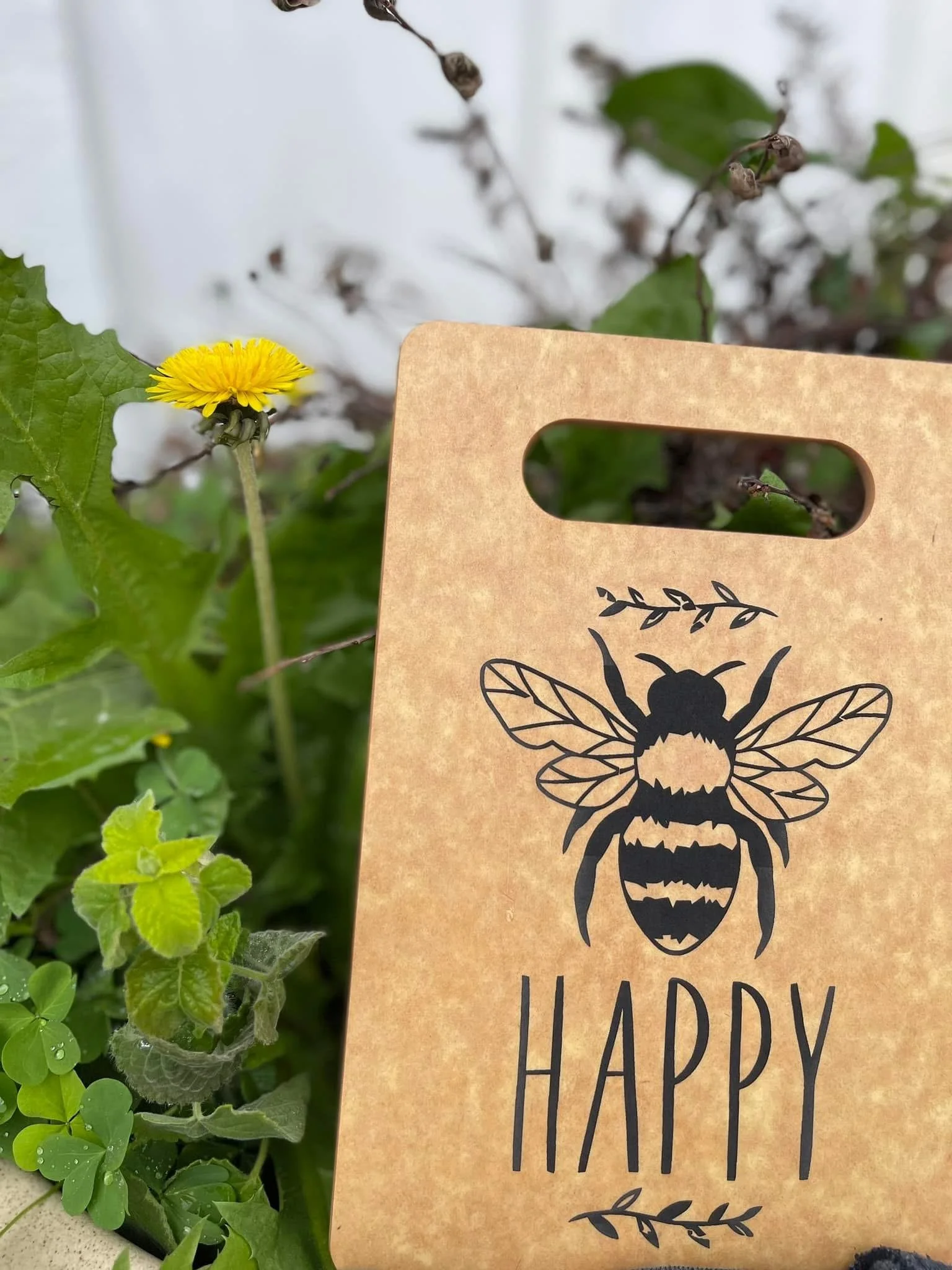 eco friendly cutting board