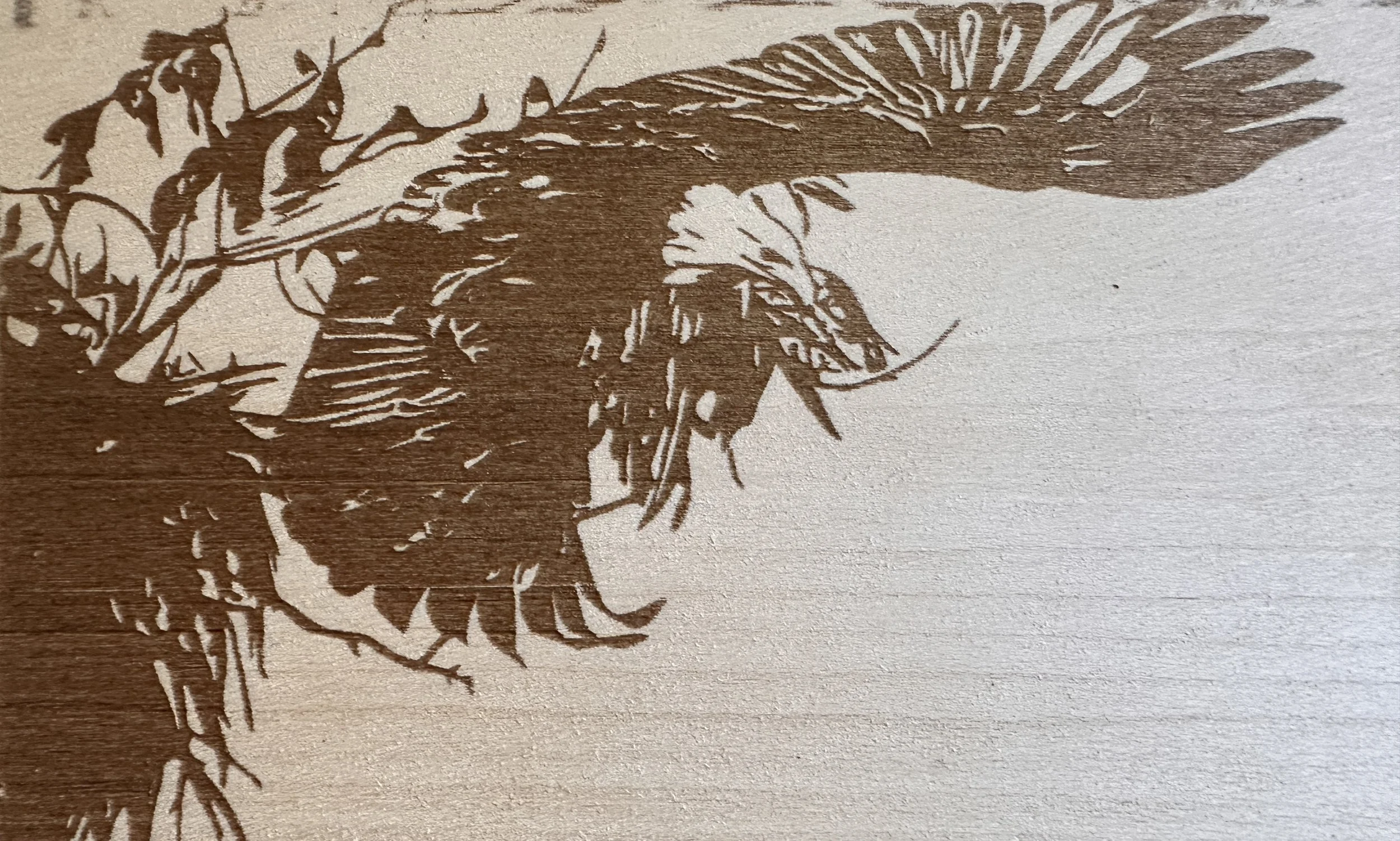 Photo reproduction of Lake Casitas Eagle, Majestic. Original photo and permission. granted by Judy Spear-Hillewaert. 