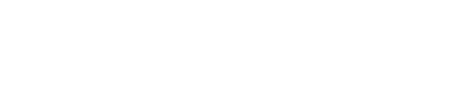Eastern Sierra Services