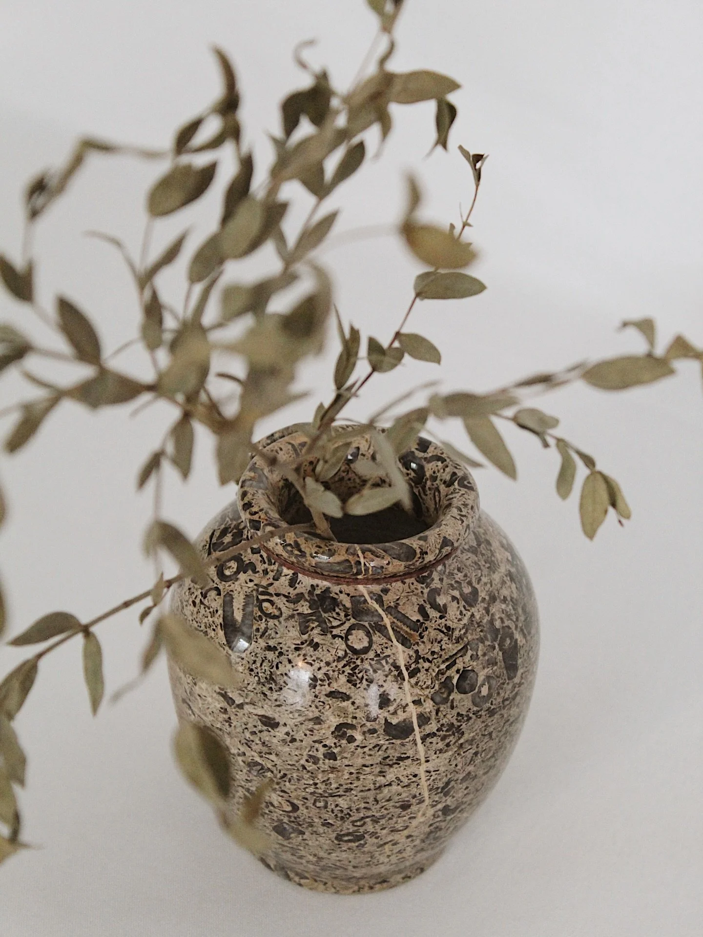 Vintage fossil stone vase with such unique shape and coloring to it. 5&rdquo; tall
$52

Please head to CheckmateHomeInteriors.com to purchase by clicking the link in our bio. See the &ldquo;How It Works&rdquo; highlight for more information.