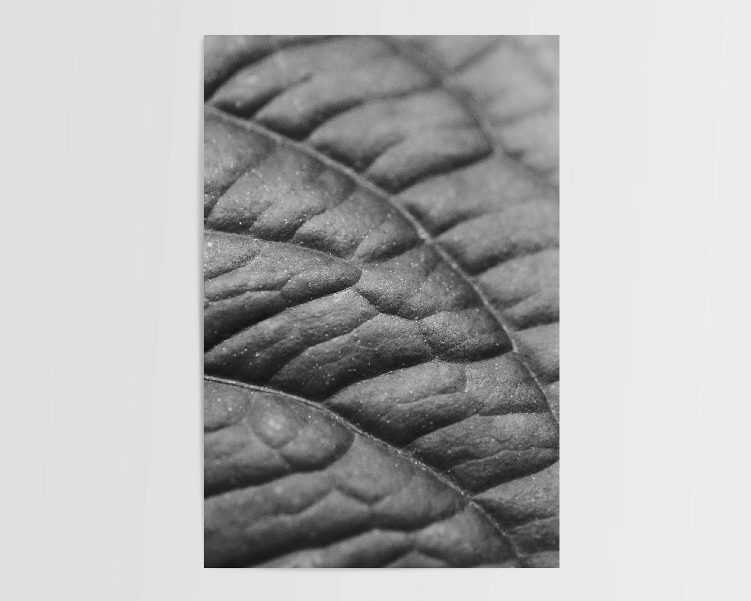 2x3Paper_Vertical_TEXTURE I.jpg