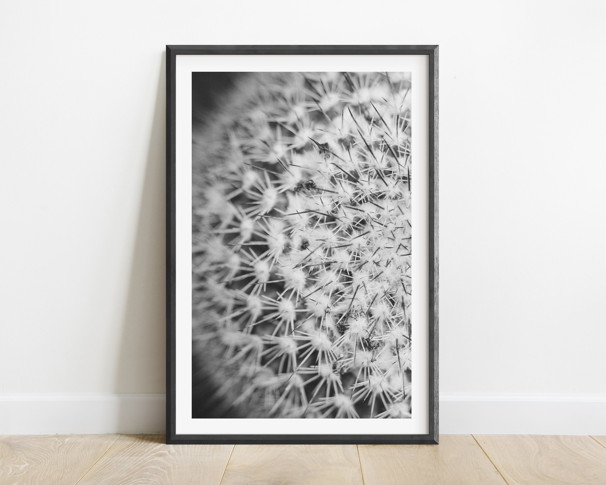 2x3_BlackFrame_Vertical_ROUND.jpg
