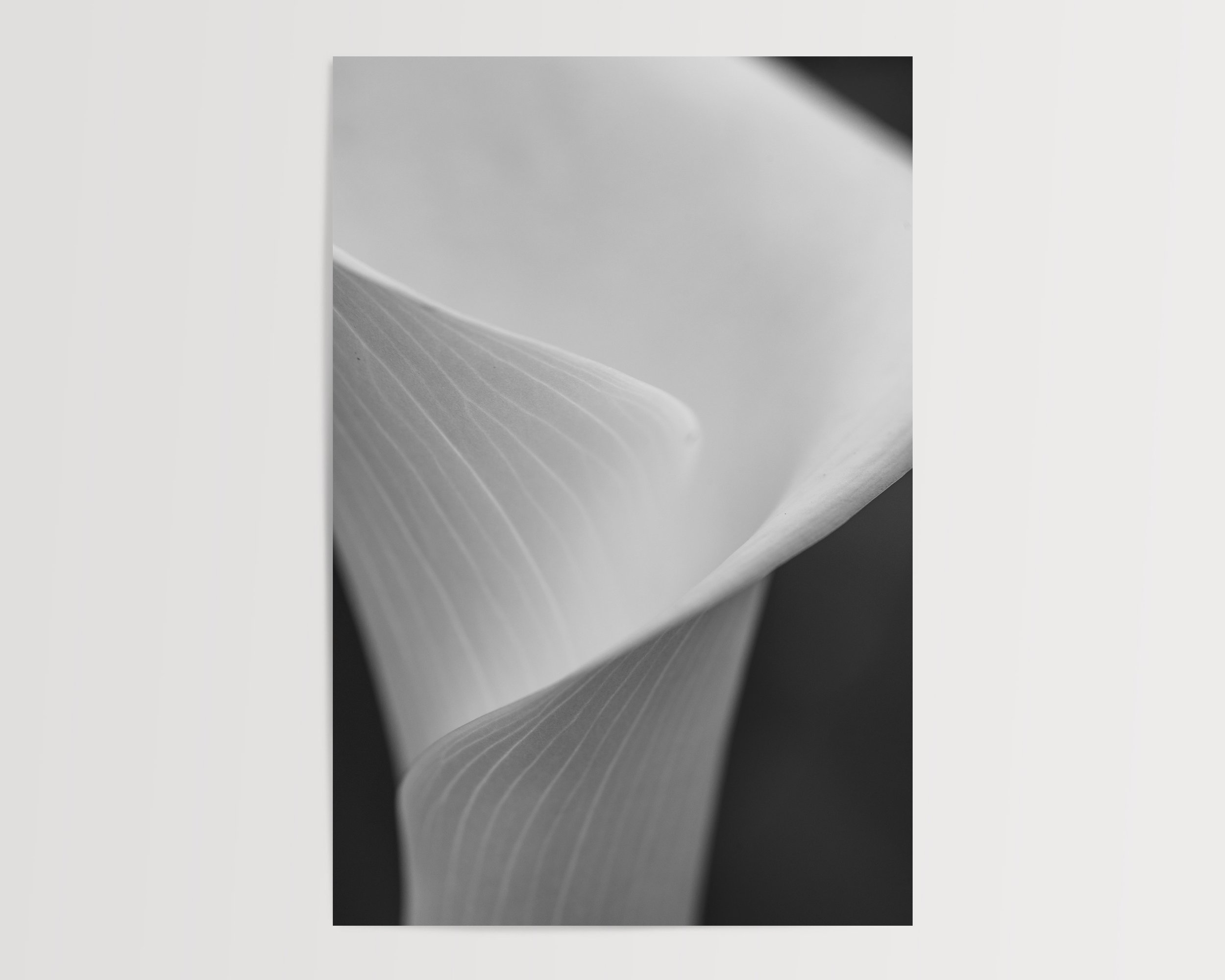 2x3Paper_Vertical_PURE.jpg
