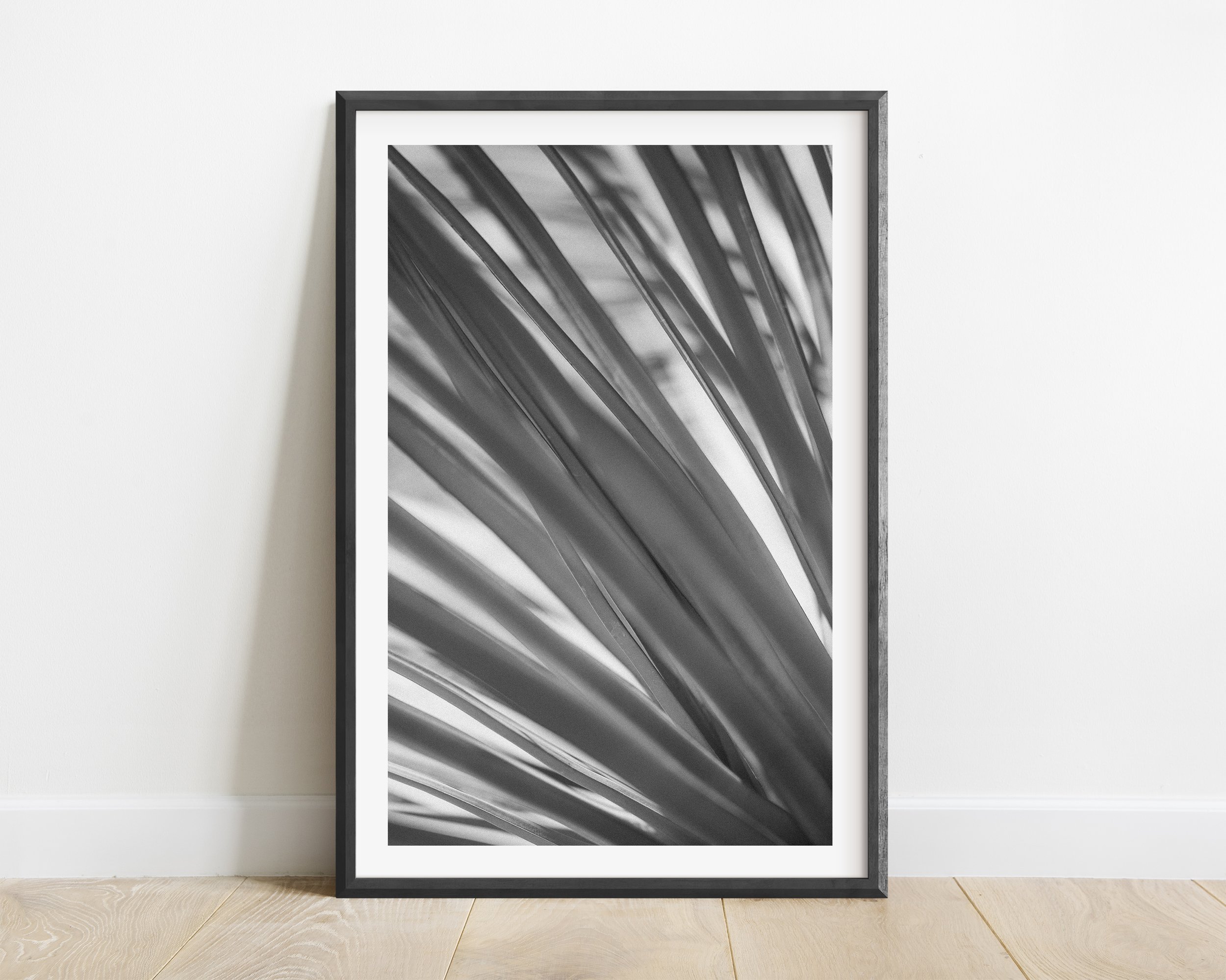 Framed modern black and white photography wall art print of yucca leaves for modern decor